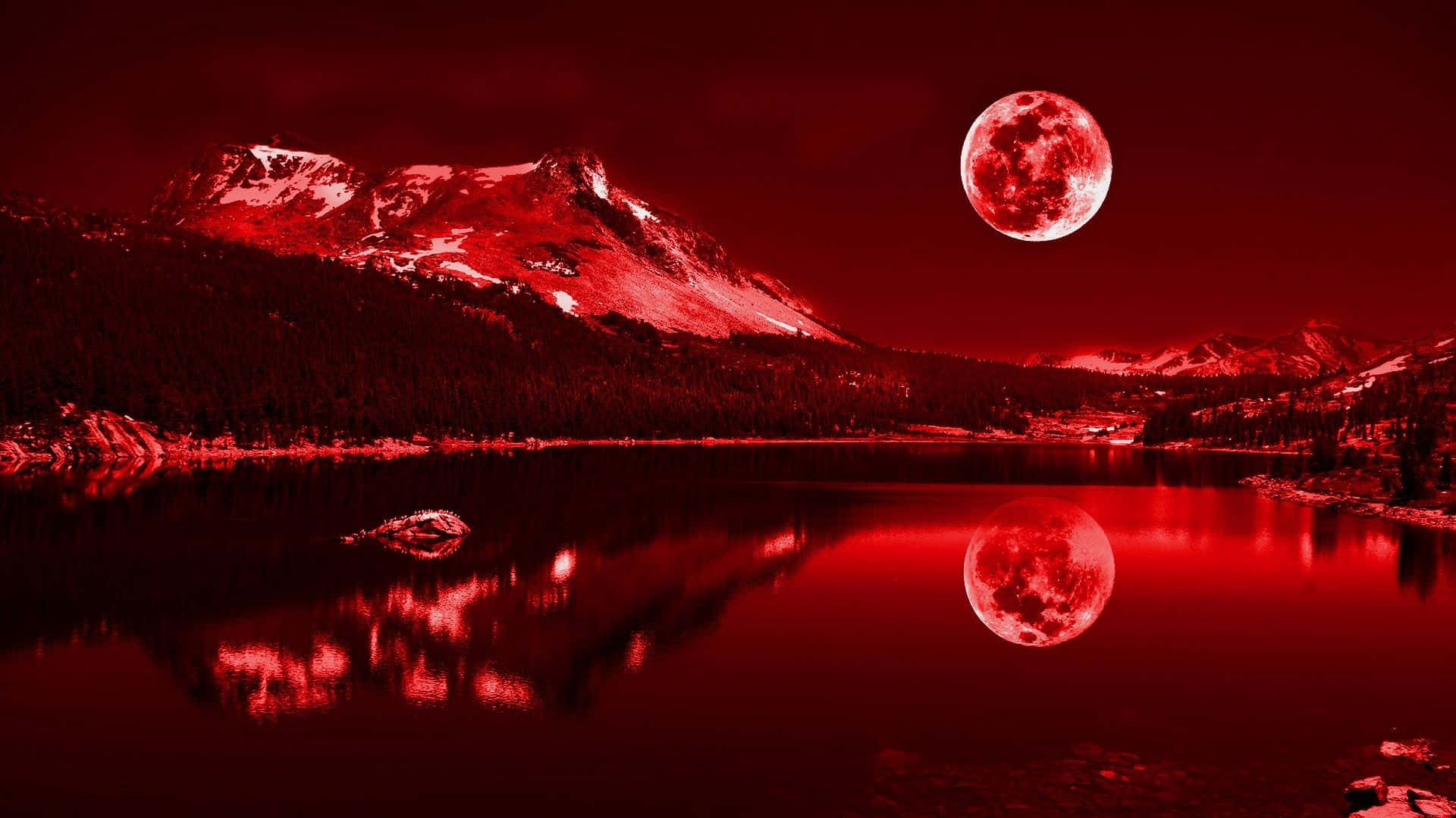 红色1920x1080壁纸 壁纸
