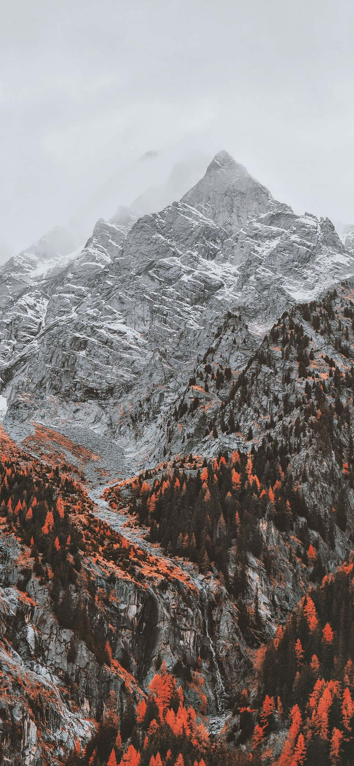 山脉 红色树木 山峰 壁纸