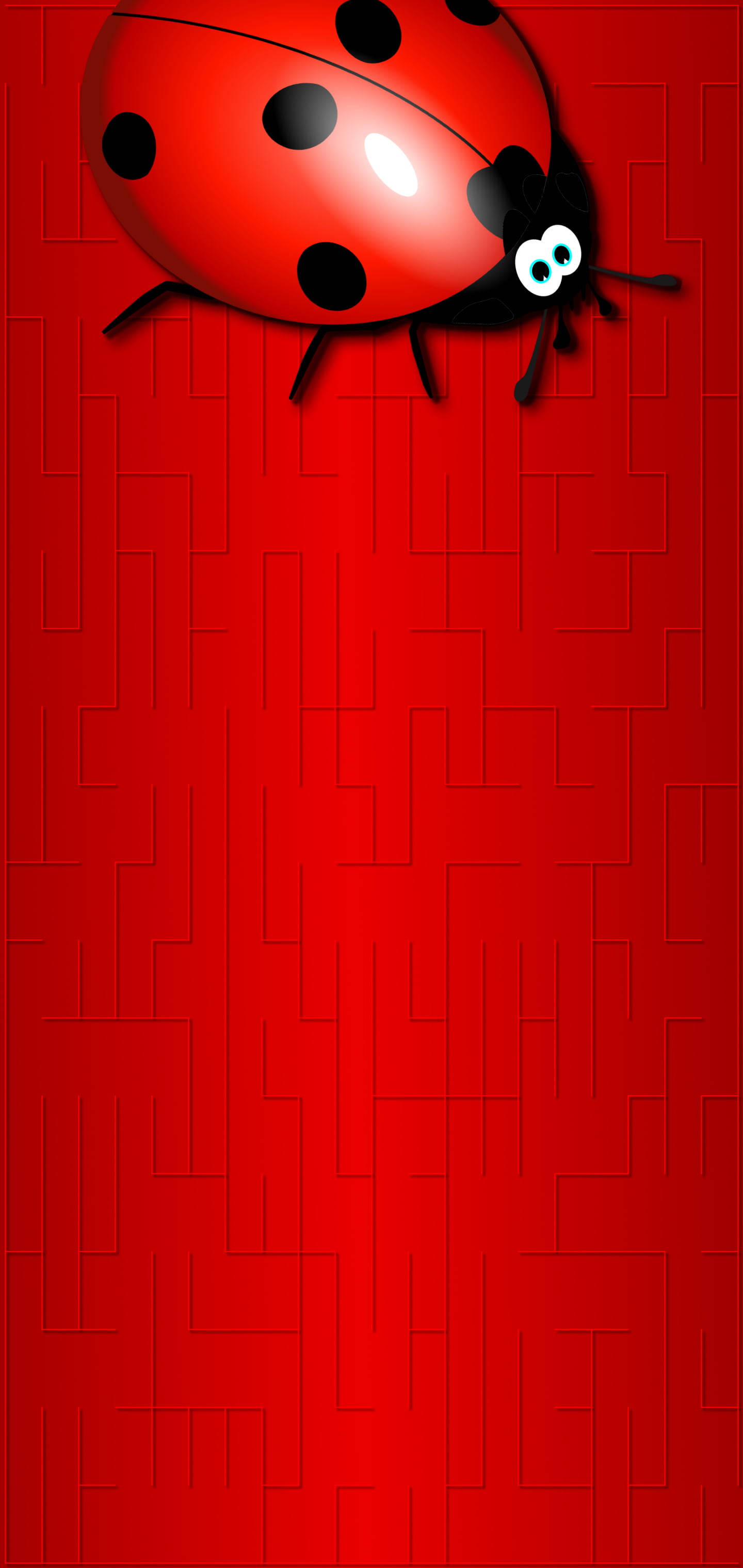 红色瓢虫打孔4K 壁纸