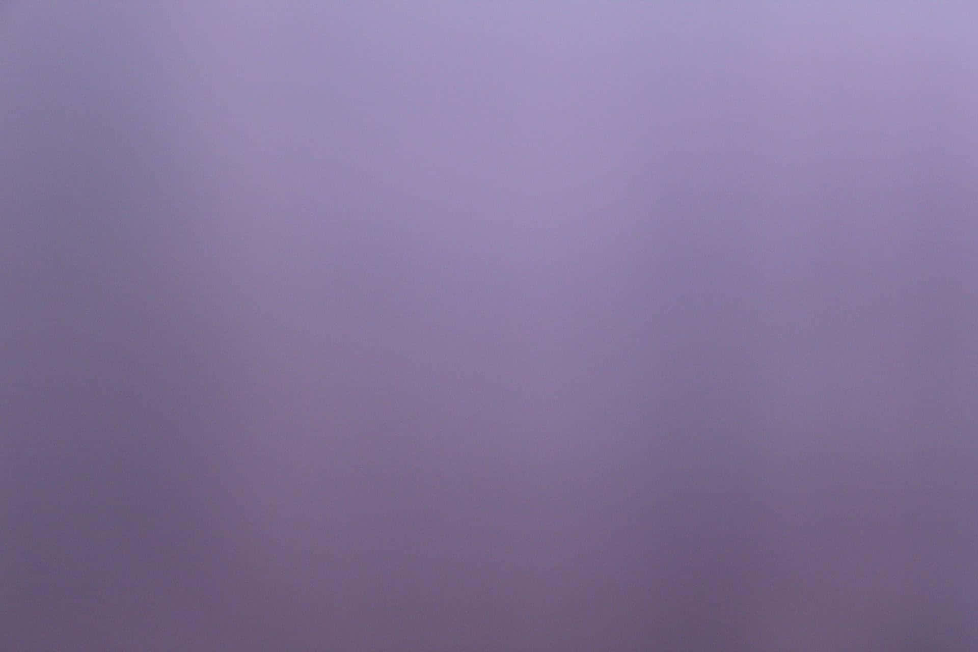 纯紫色背景 壁纸