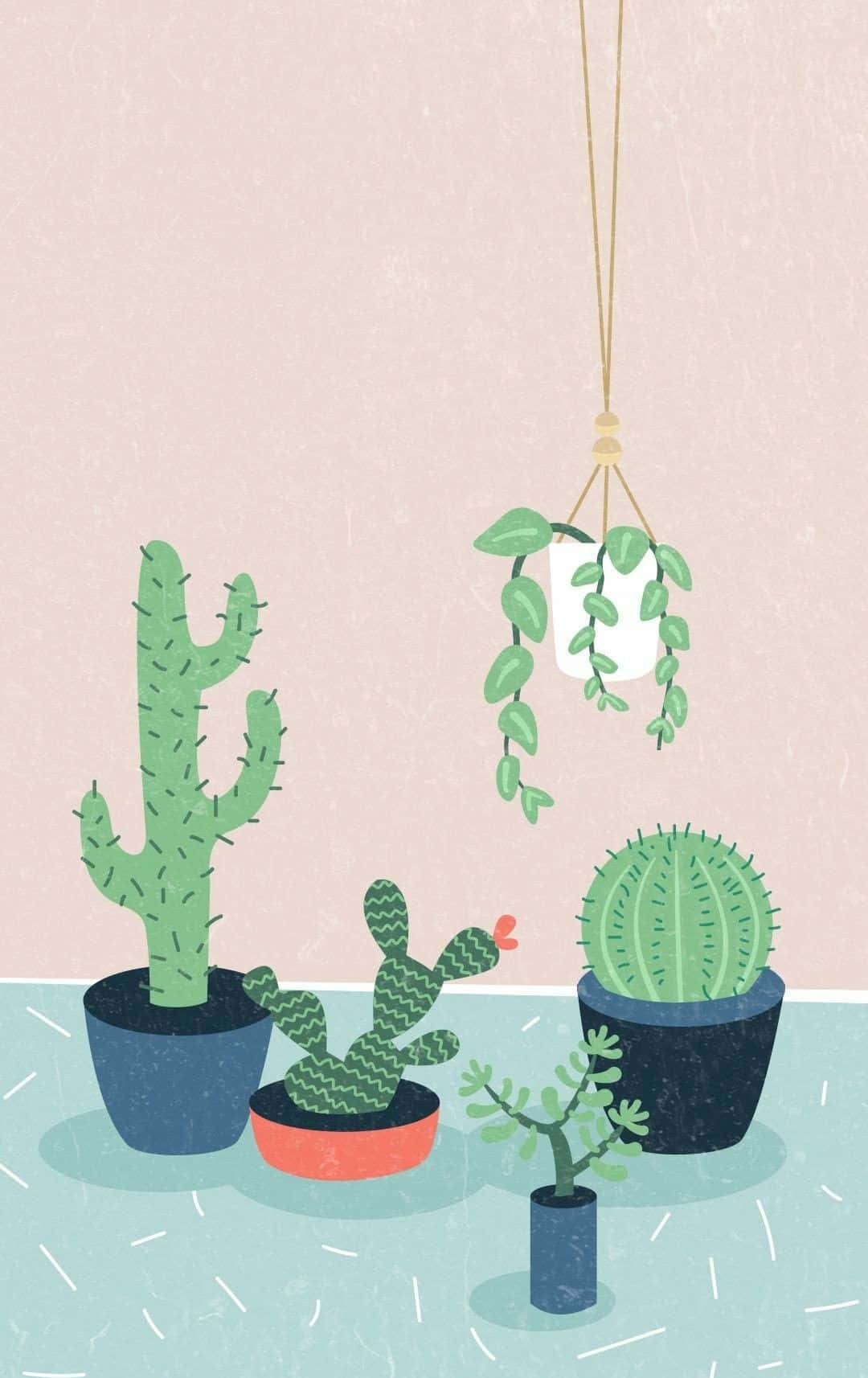 绿色仙人掌美学 壁纸