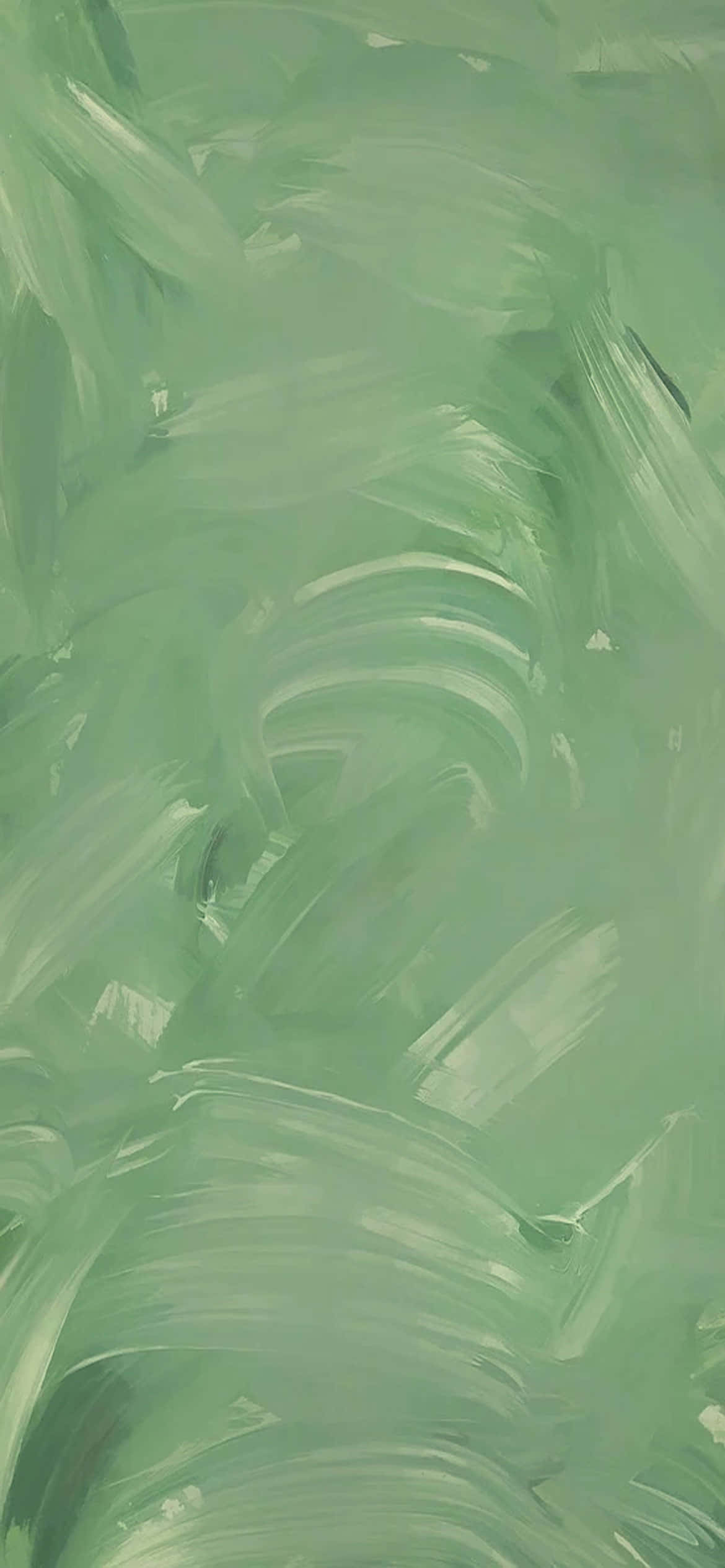 绿色美学背景 壁纸