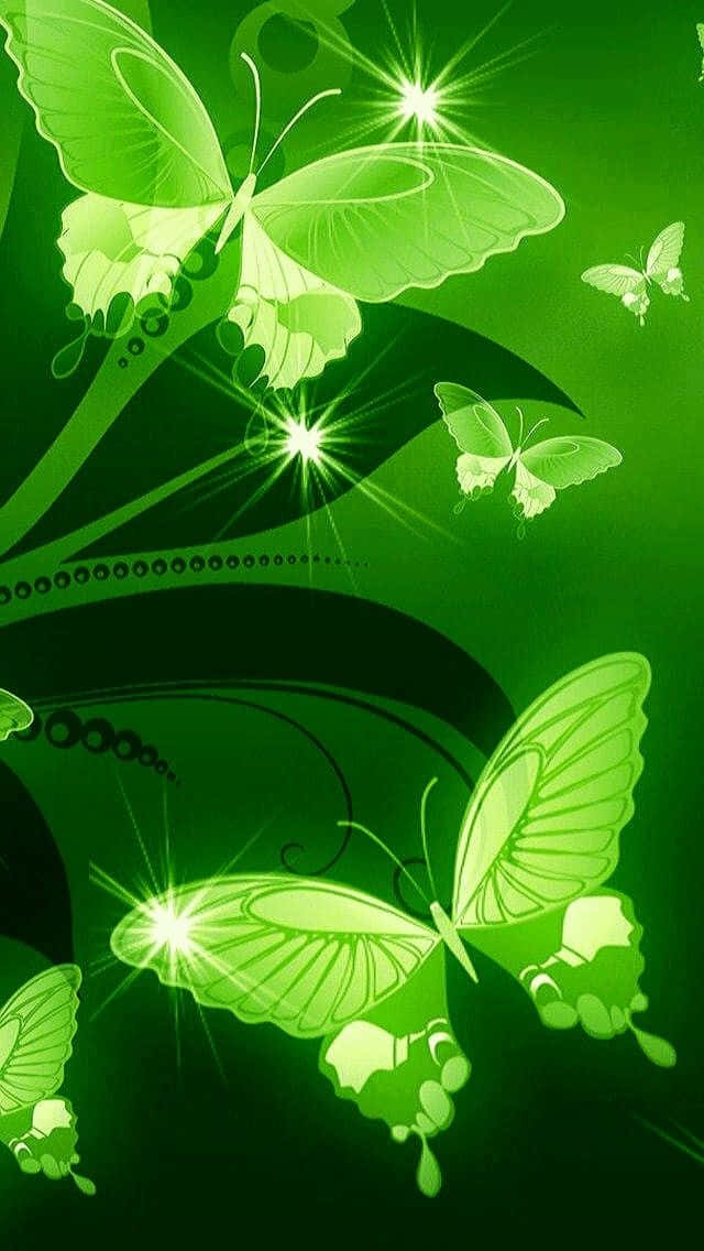 绿色蝴蝶绿植美学 壁纸
