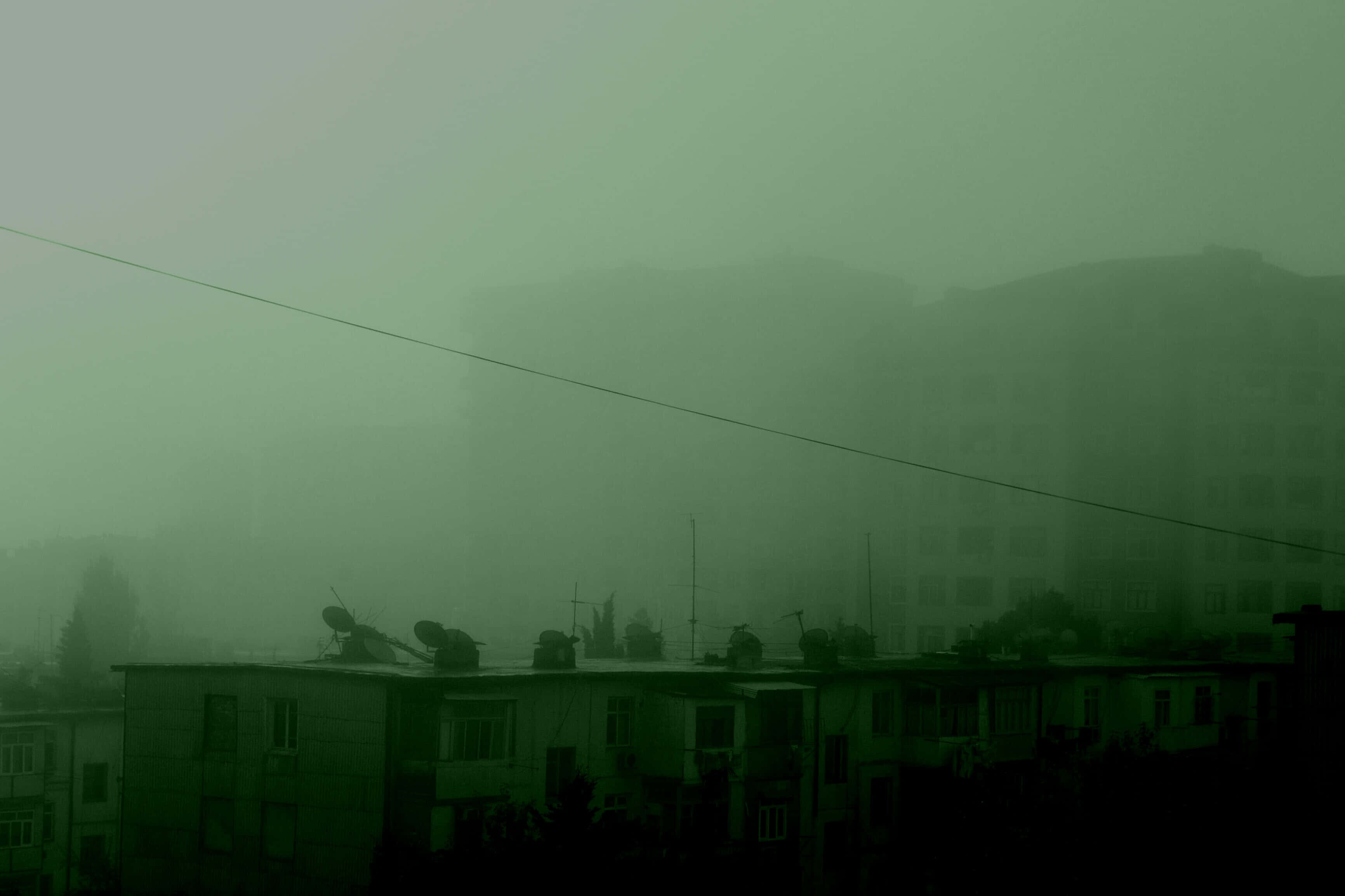 美丽的深绿色美学 壁纸