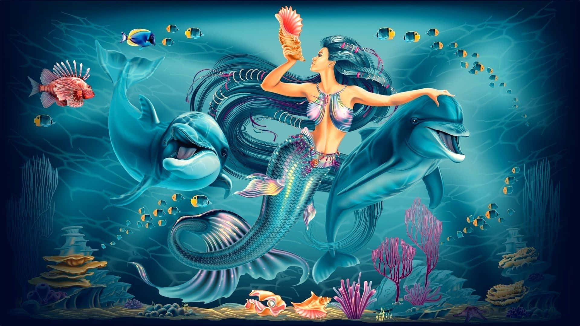 美人鱼与蓝色海豚图片 壁纸