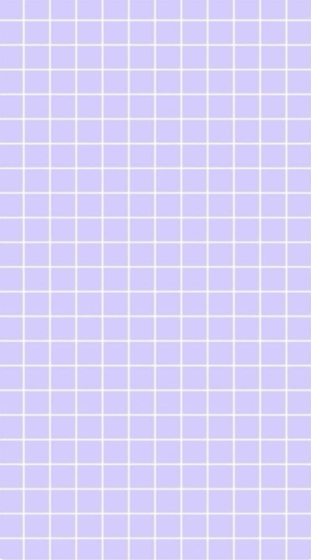 美学网格淡紫Tumblr