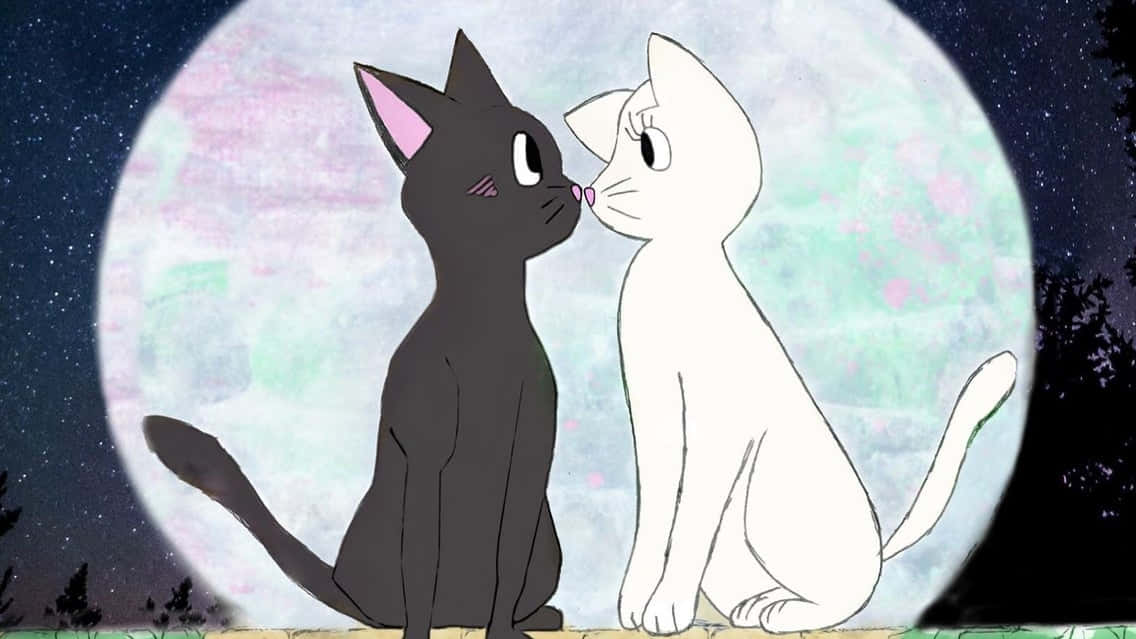 美少女战士猫咪情侣头像 壁纸