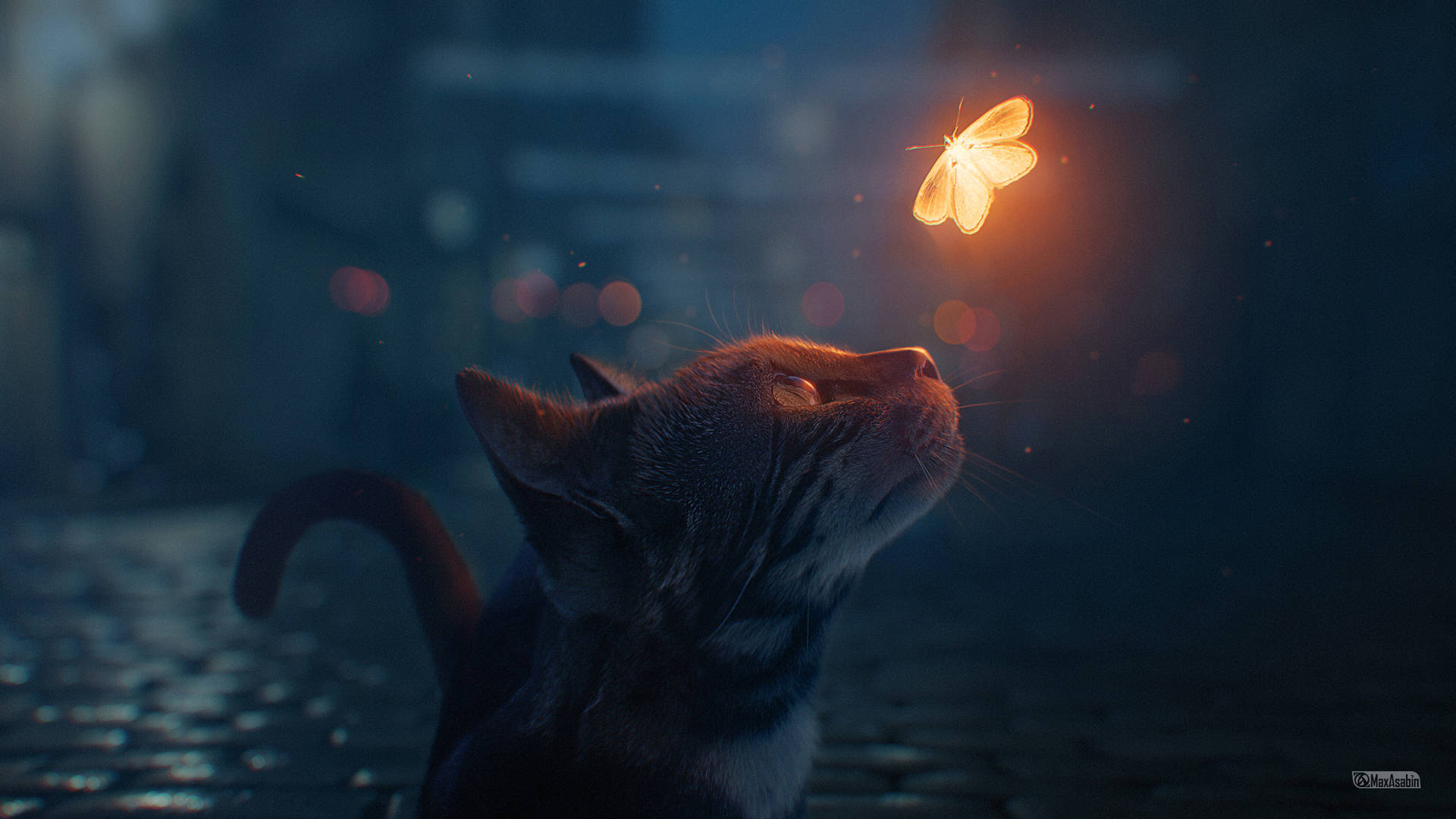 美猫与蝶 壁纸