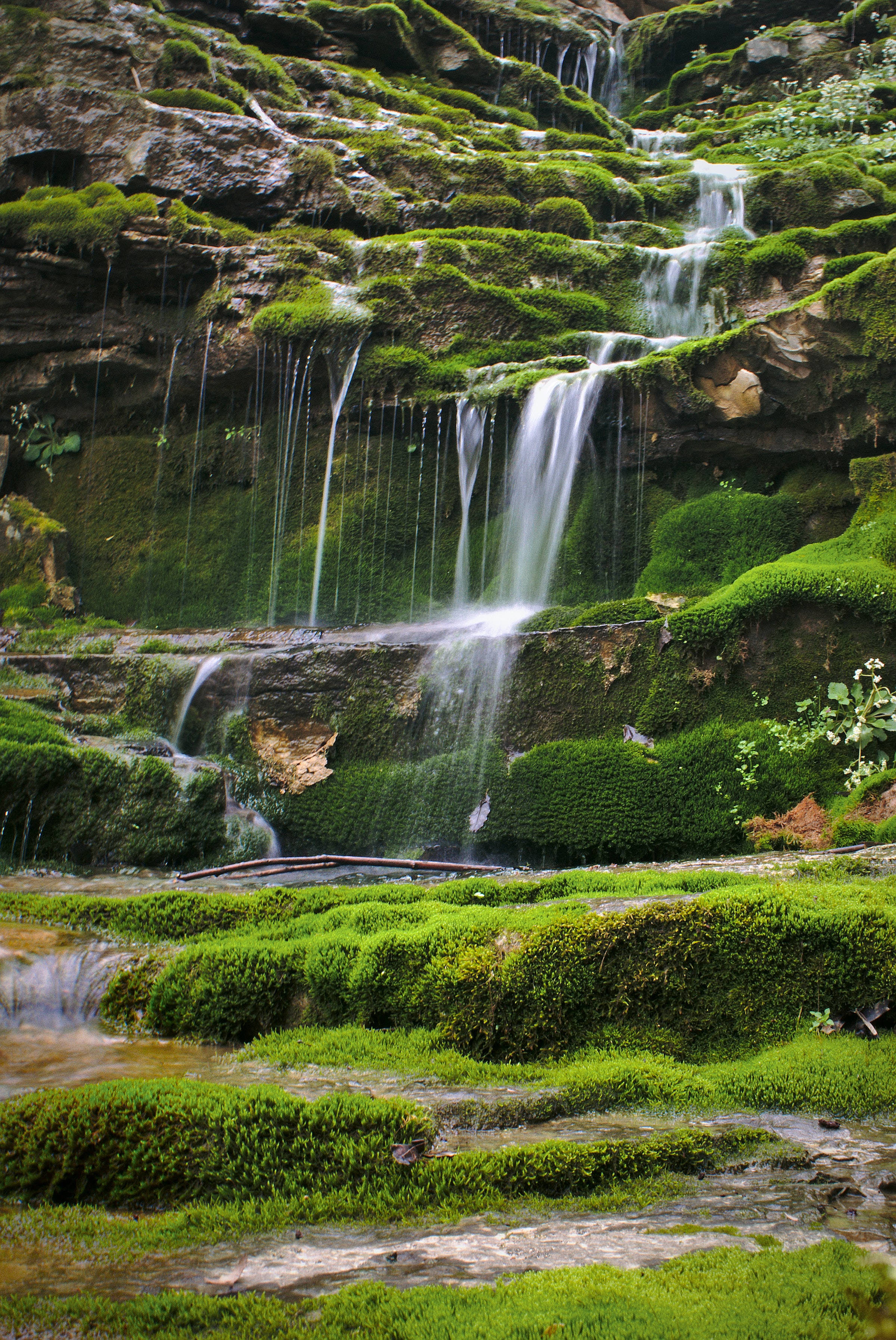 肯塔基自然风景 壁纸