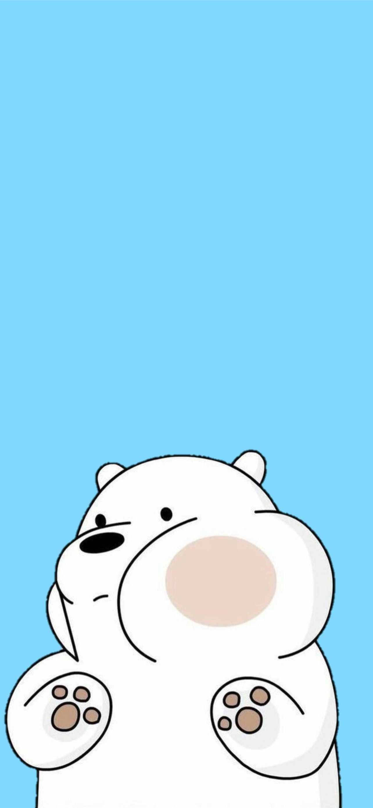 胖乎乎冰熊可爱iPhone壁纸 壁纸