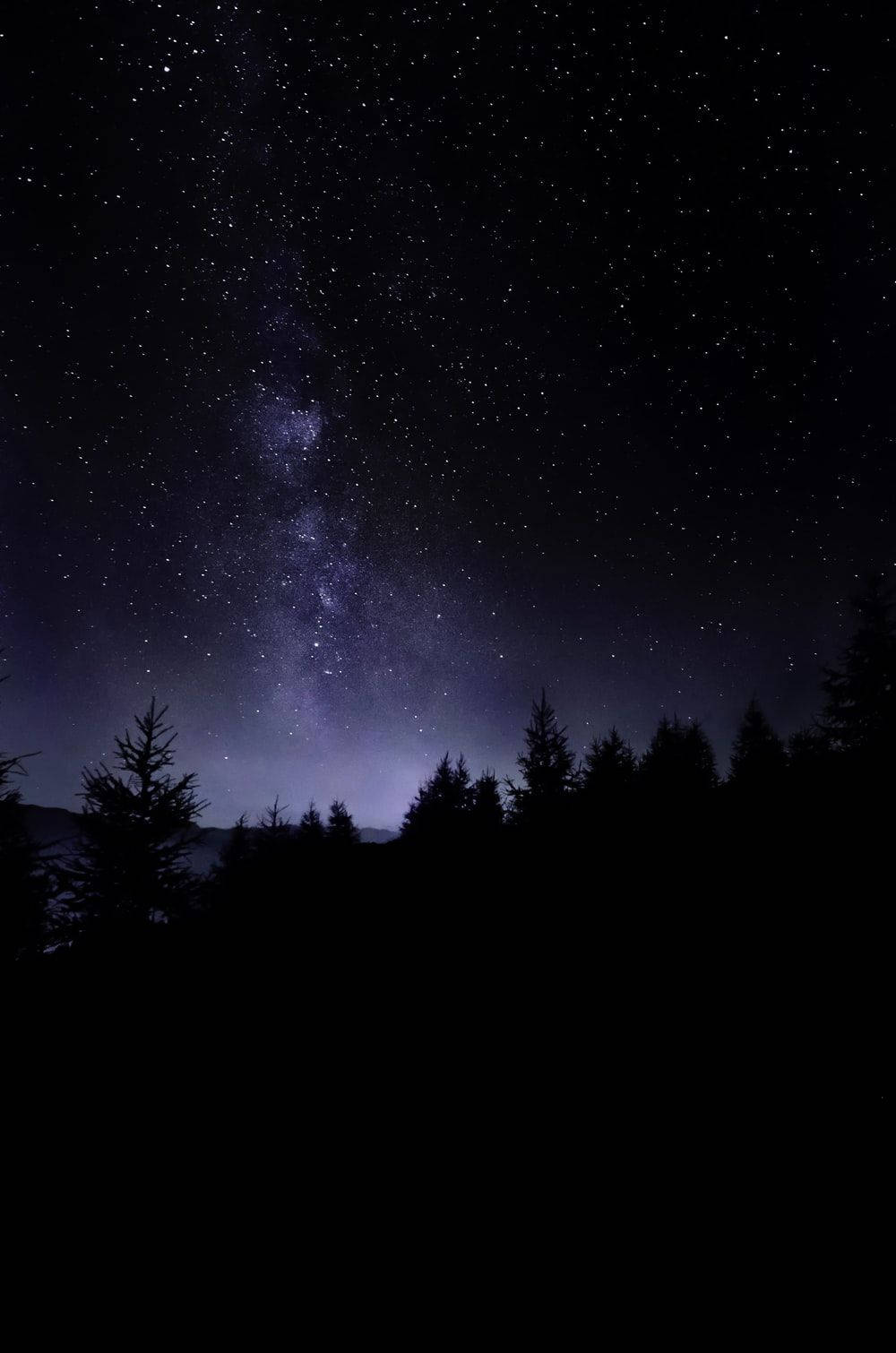 自然暗夜森林与星空 壁纸