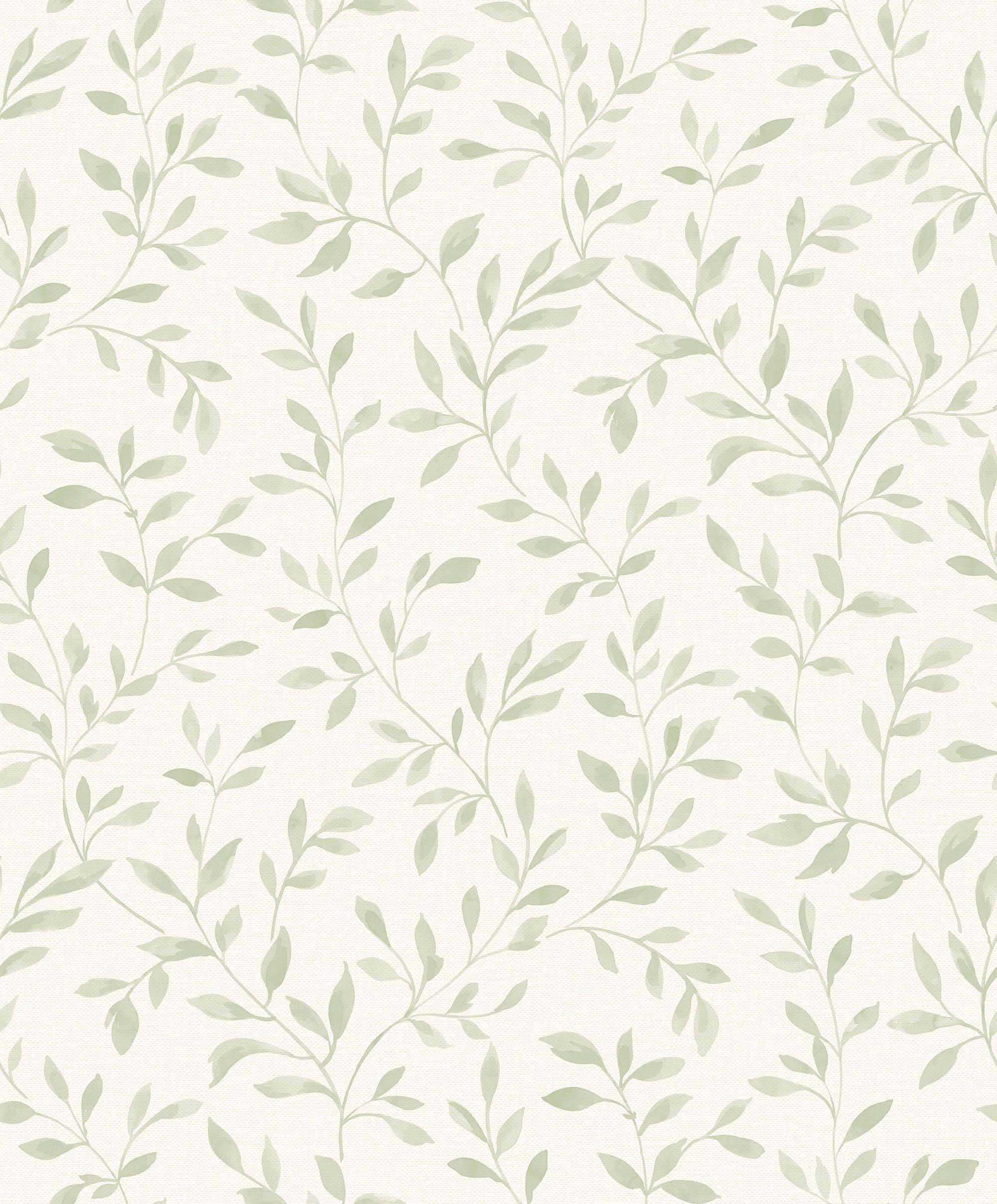 舒缓鼠尾草绿美学背景 壁纸