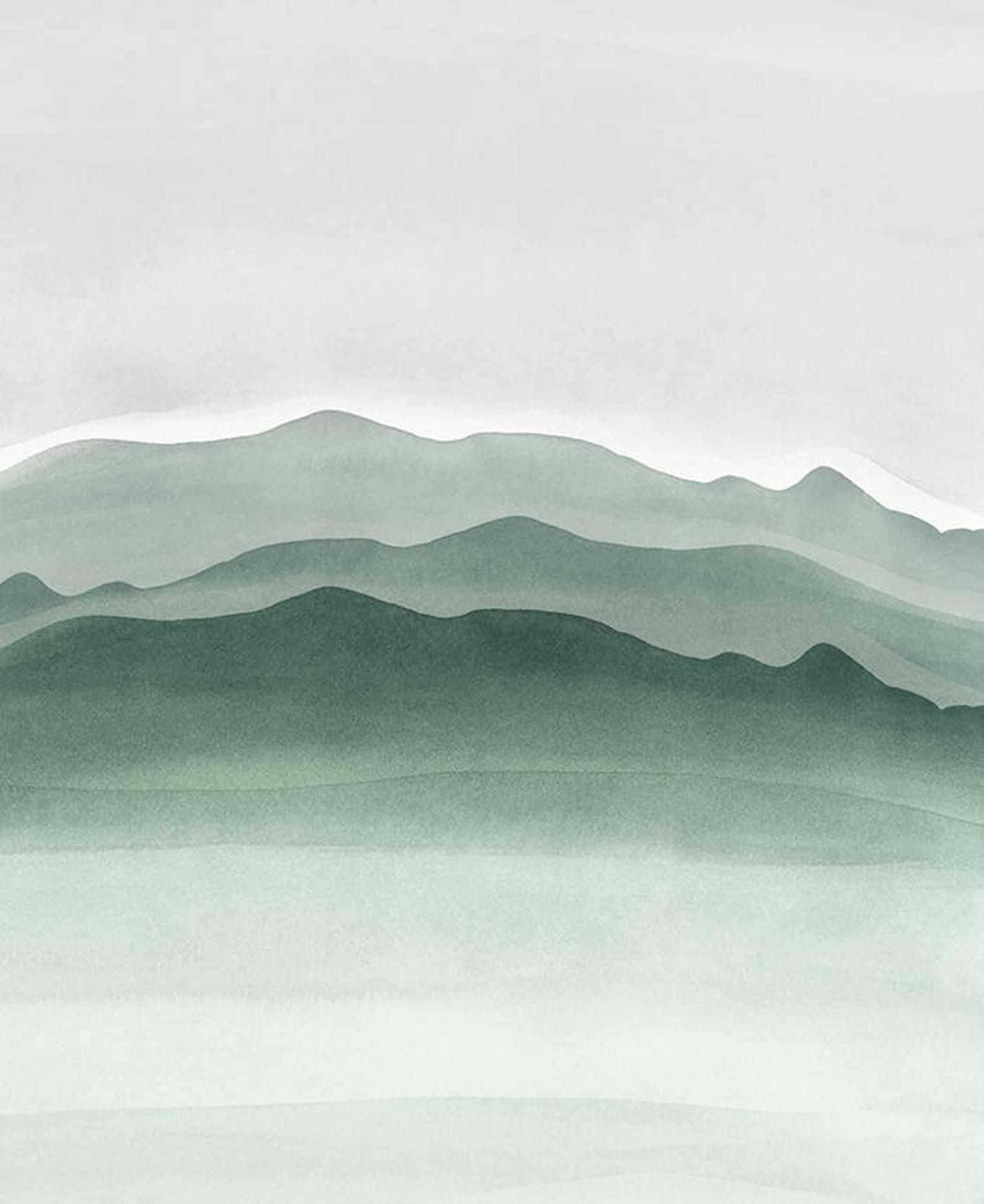 舒缓鼠尾草绿美学背景 壁纸
