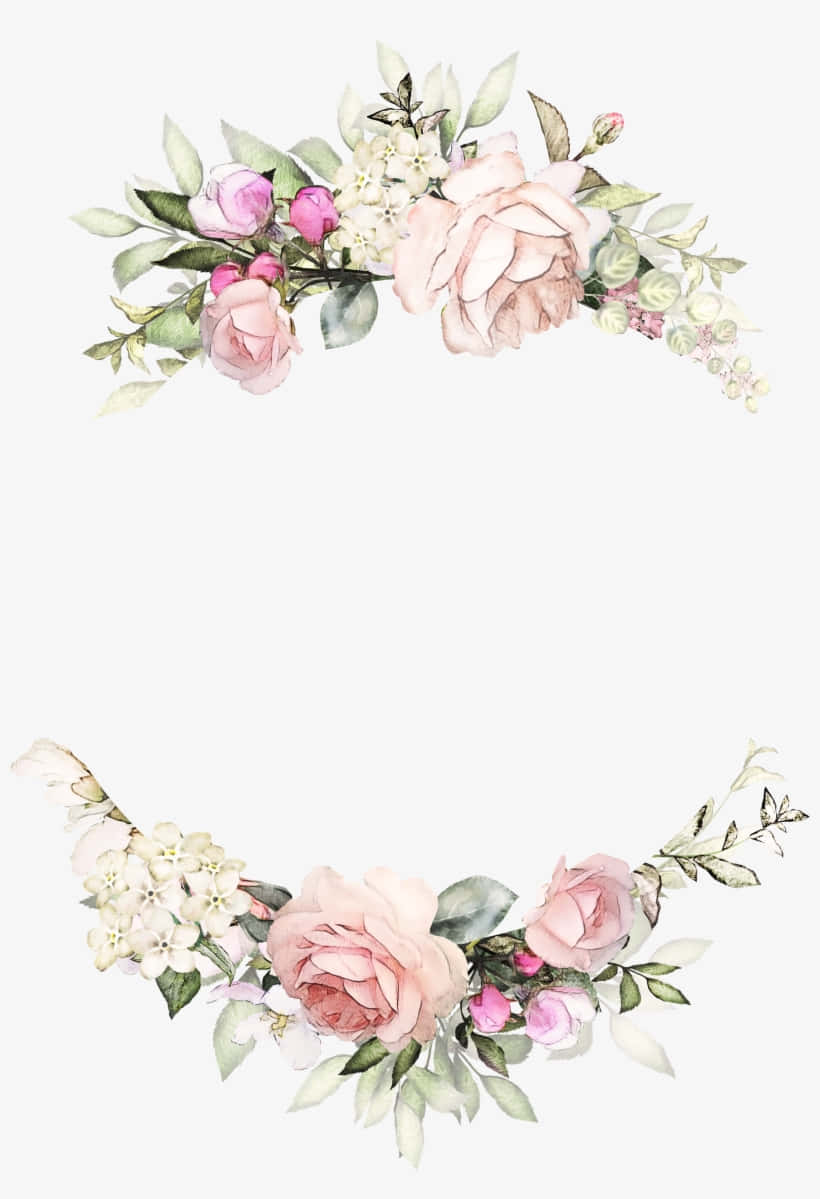 花卉背景 壁纸