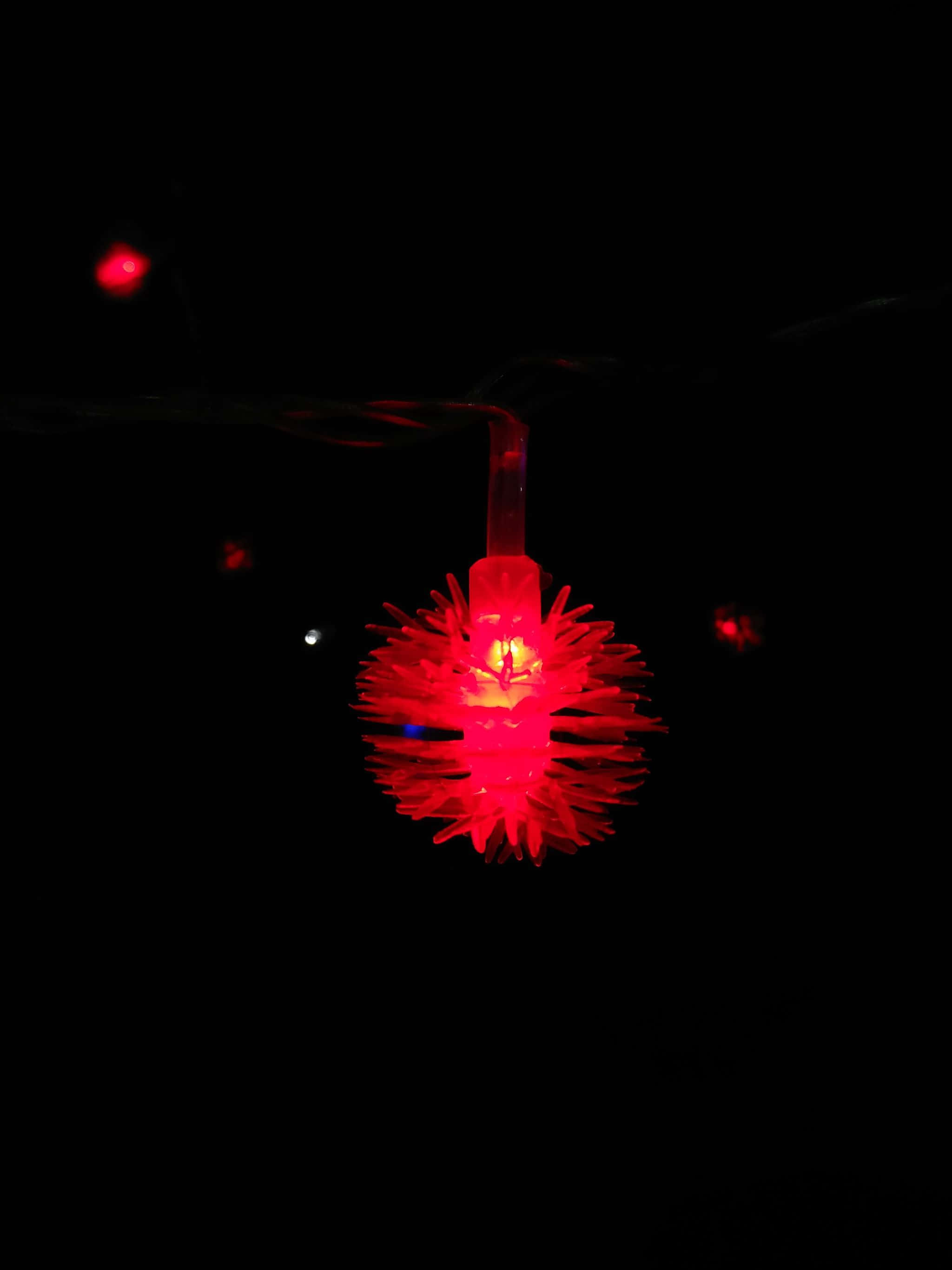 花园里的棉花花 壁纸