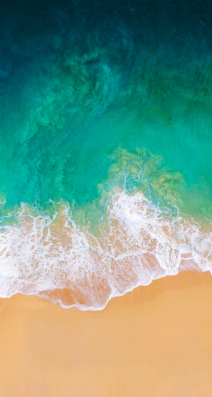 苹果发布新款iPhone 11，性能强劲 壁纸