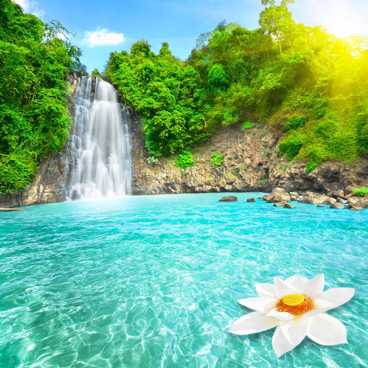 莲花瀑布美景 壁纸