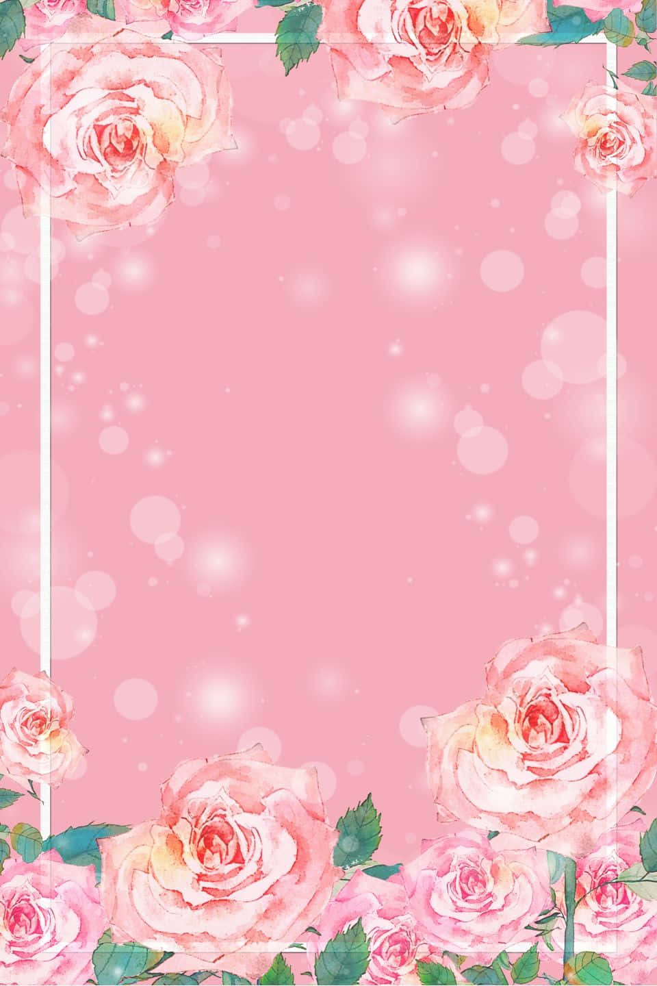 蓝天映衬下的粉色花朵 壁纸