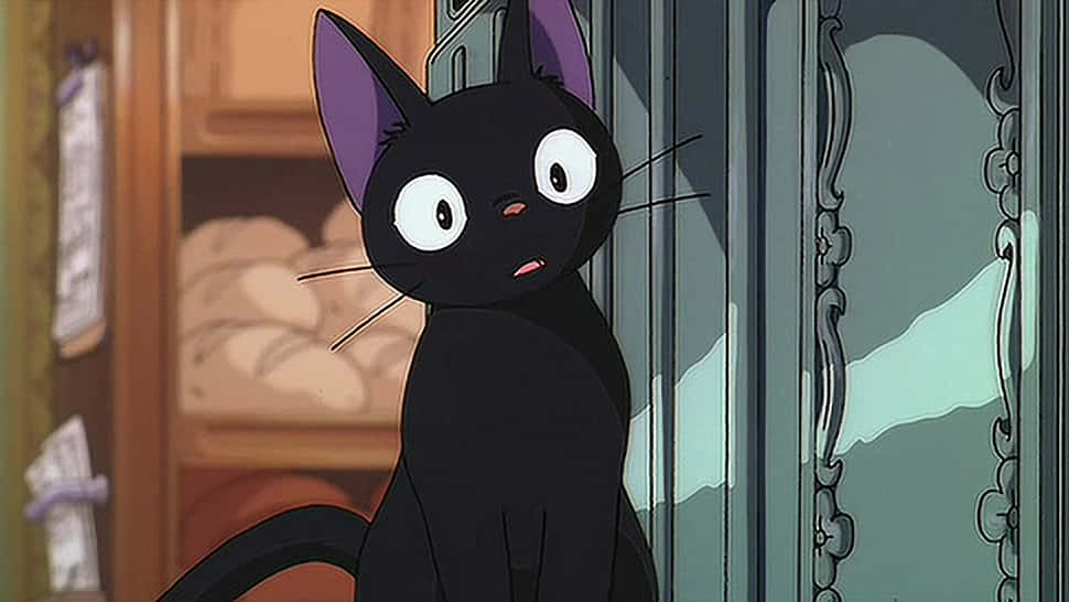 蓝眼动漫猫享受日落 壁纸