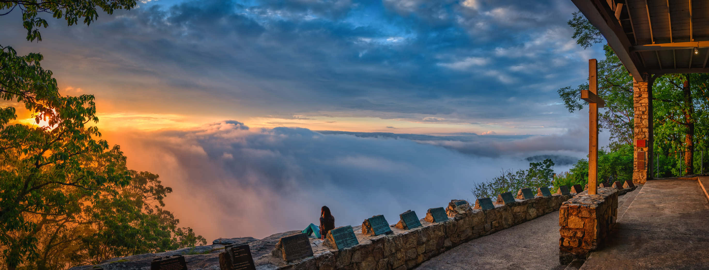 蓝色天空与背景森林的美景 壁纸