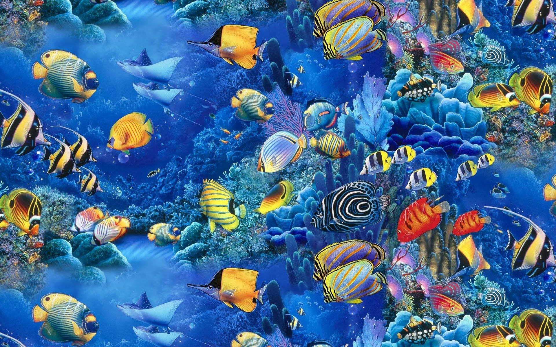 蓝色珊瑚礁中的酷炫鱼类 壁纸