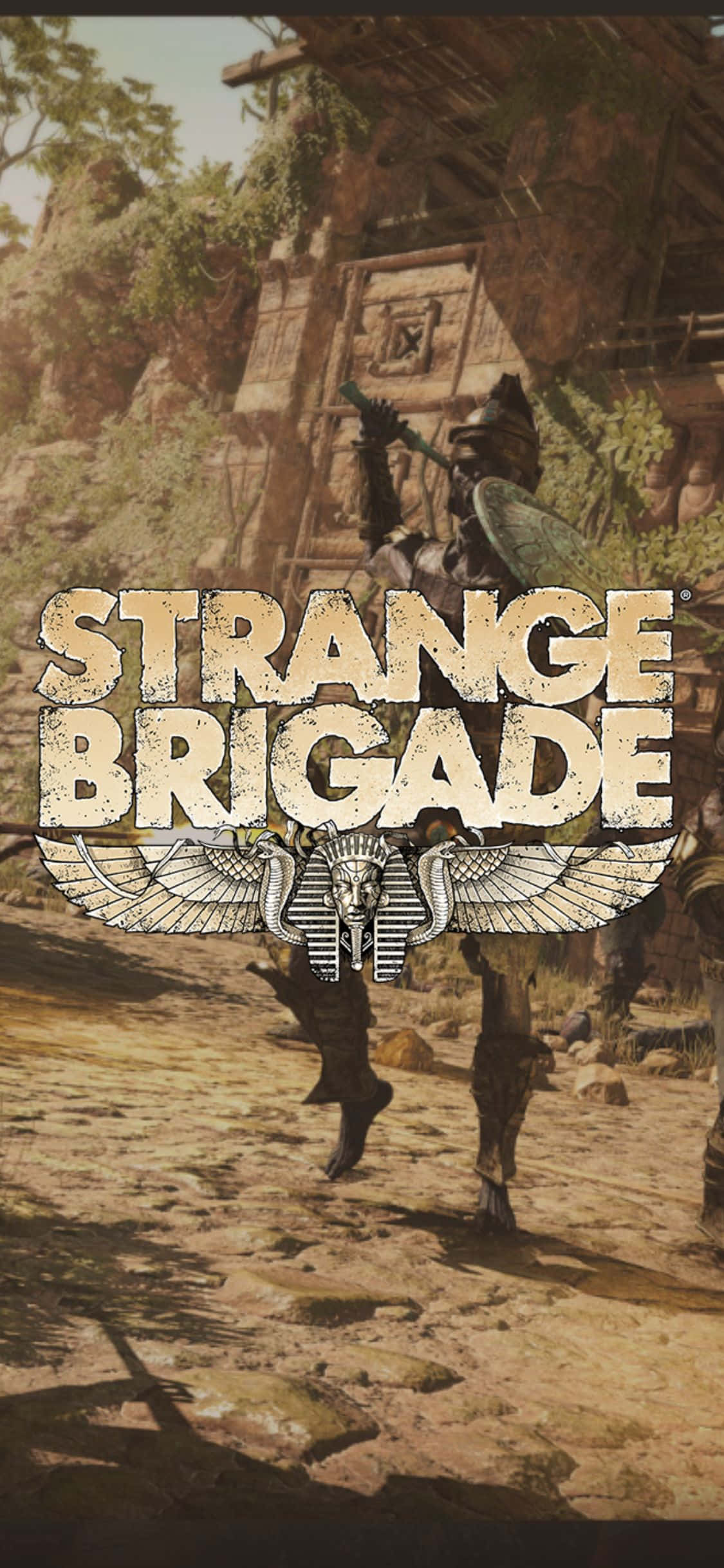 装甲骷髅僵尸 iPhone X Strange Brigade 背景 壁纸