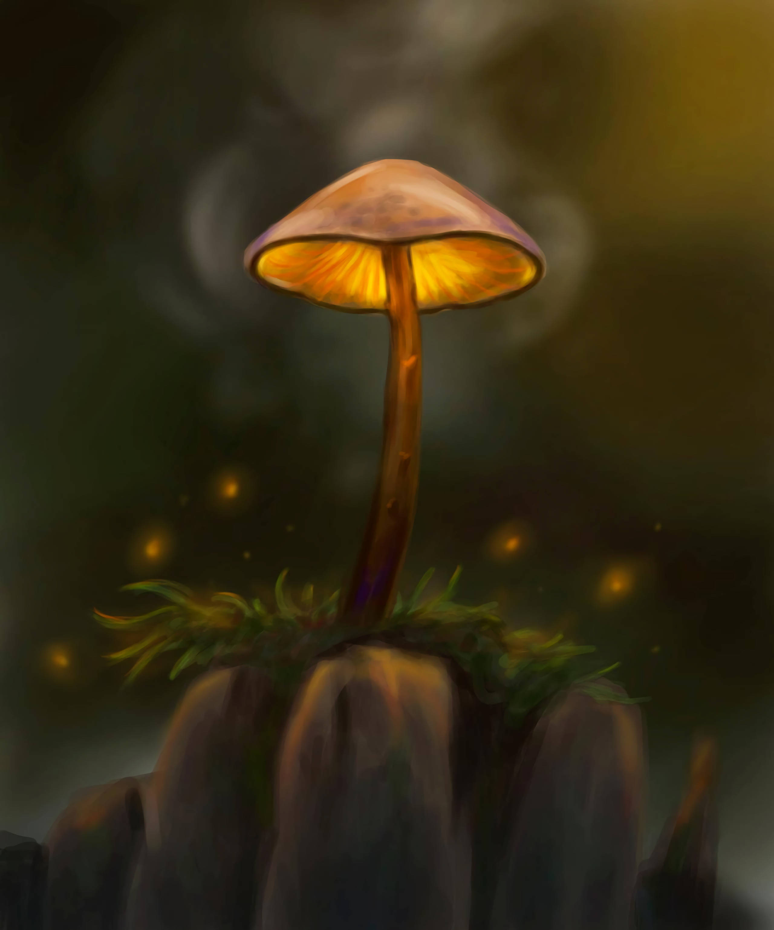 让想象力随这些神奇蘑菇翱翔 壁纸