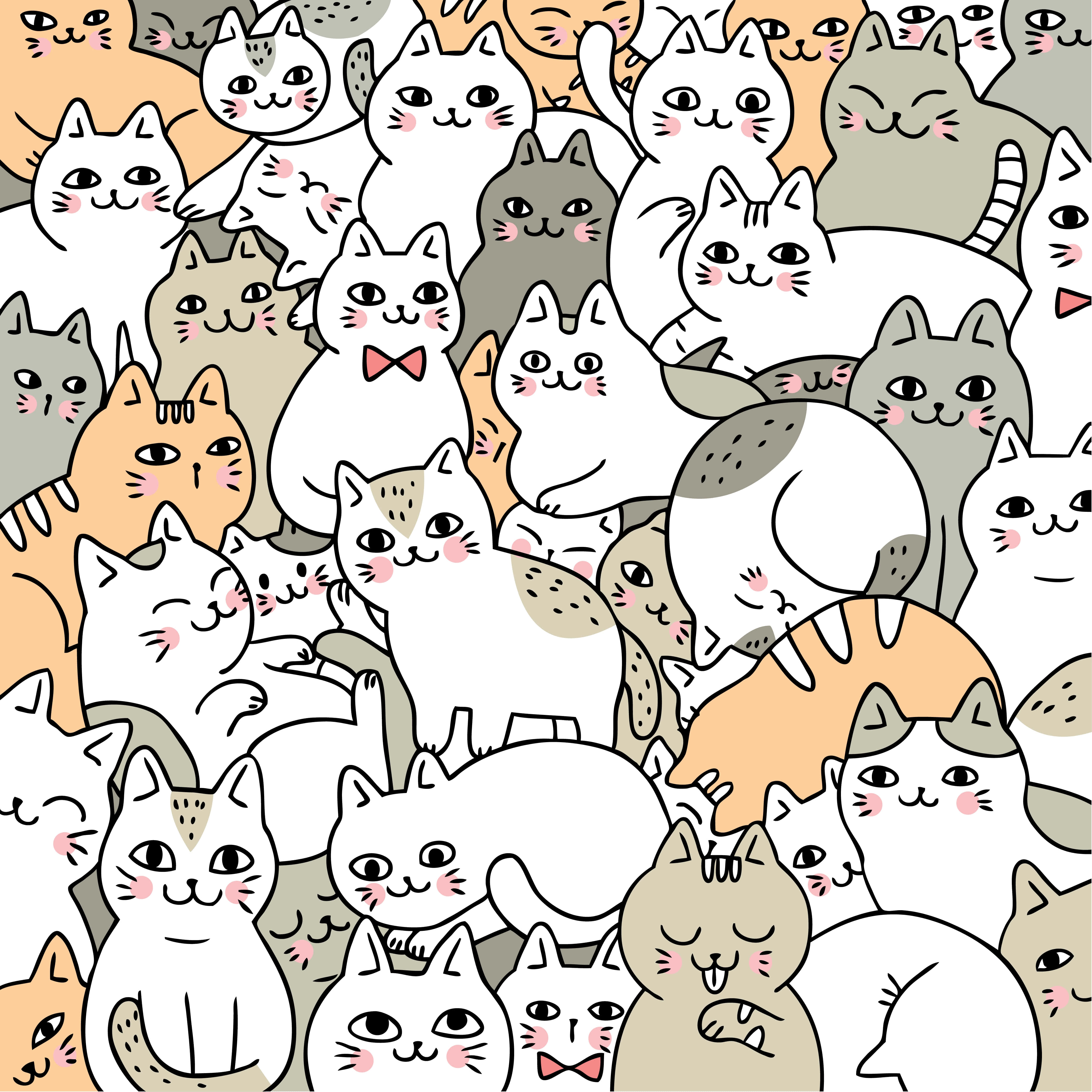 谁能抗拒一只可爱的猫咪？ 壁纸