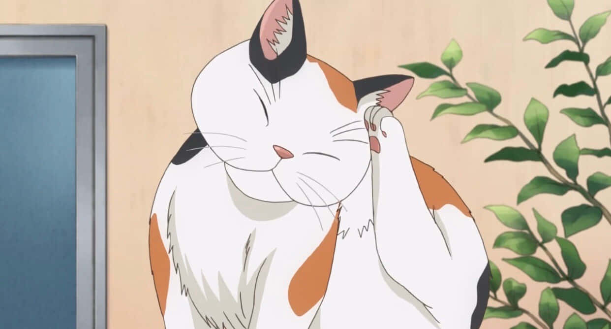 超可爱的动漫猫咪戴眼镜！ 壁纸