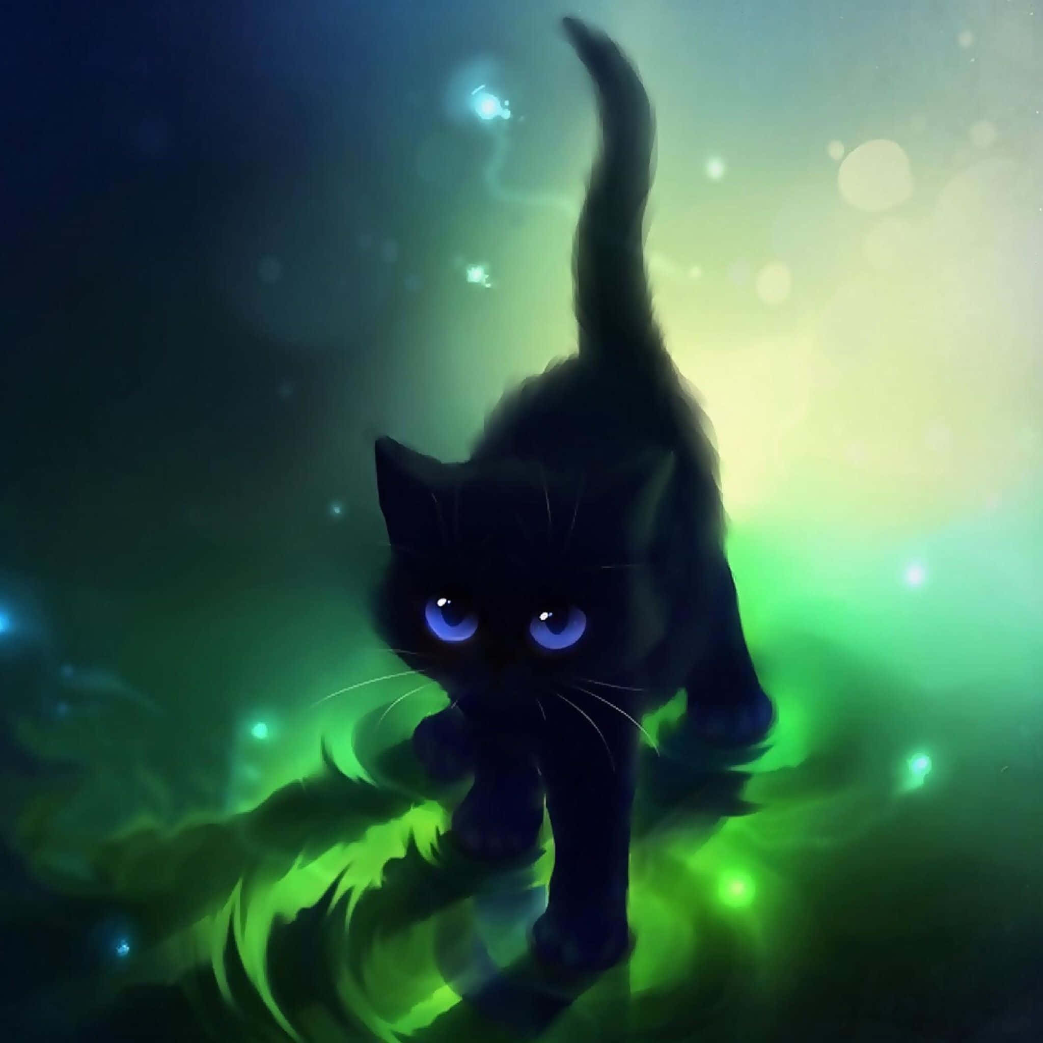这只迷人的黑猫将俘获你的心 壁纸
