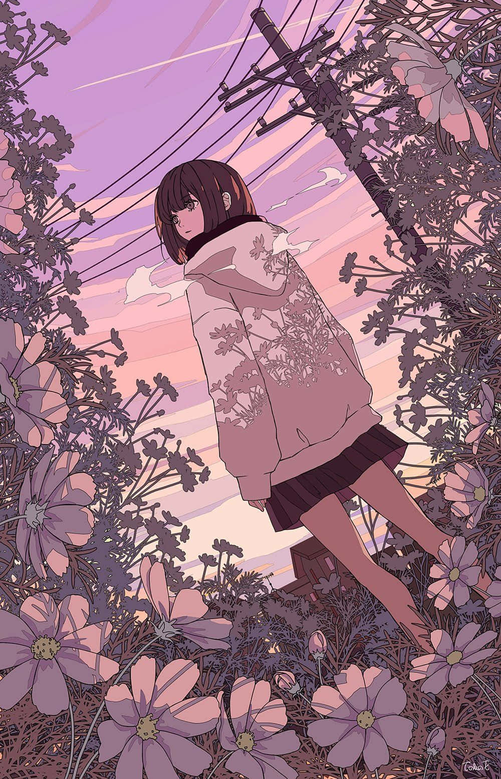 迷人动漫风景与夕阳 壁纸