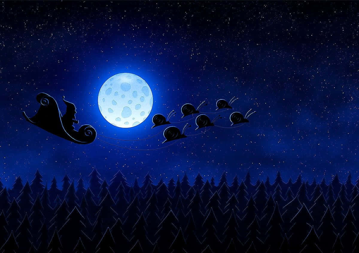 迷人午夜景观与参天大树 壁纸