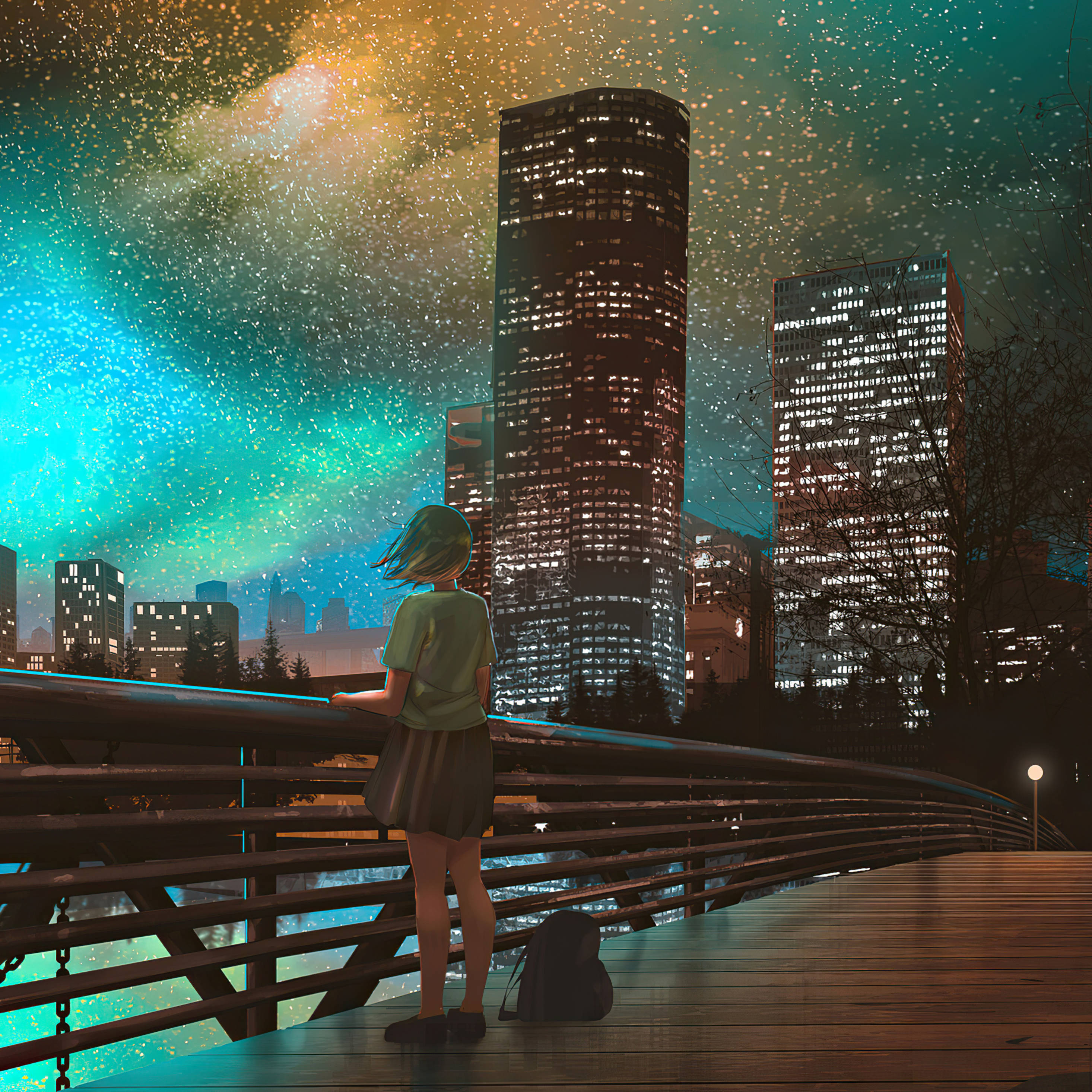 迷人星空动漫夜，繁华都市尽收眼底 壁纸