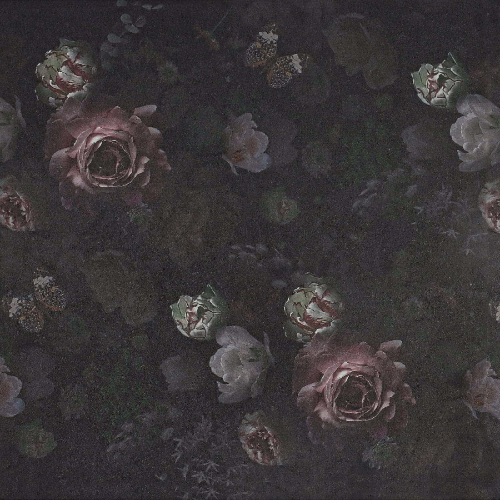 迷人深色花卉背景 壁纸