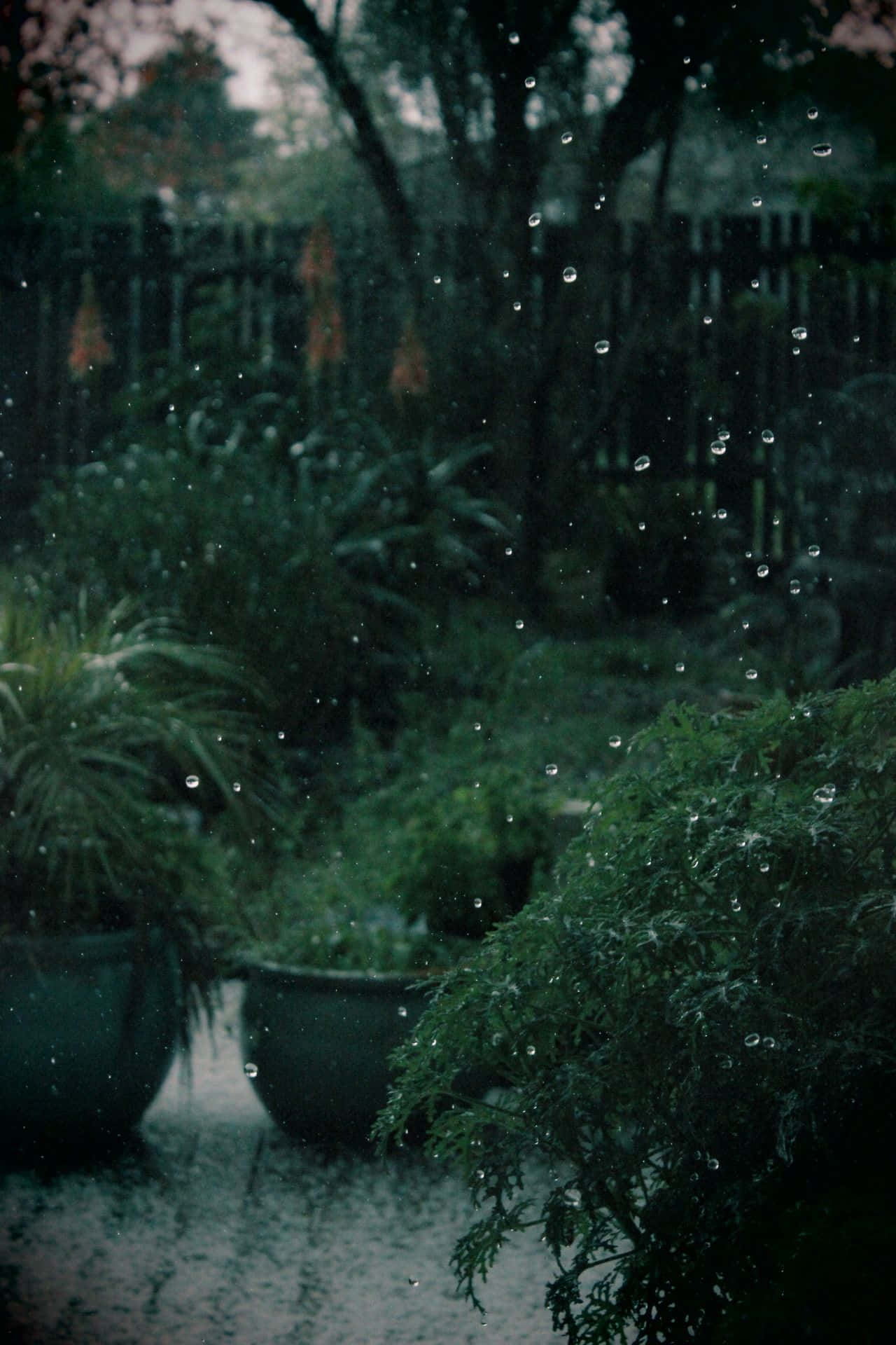 迷人的深绿色美学背景 壁纸
