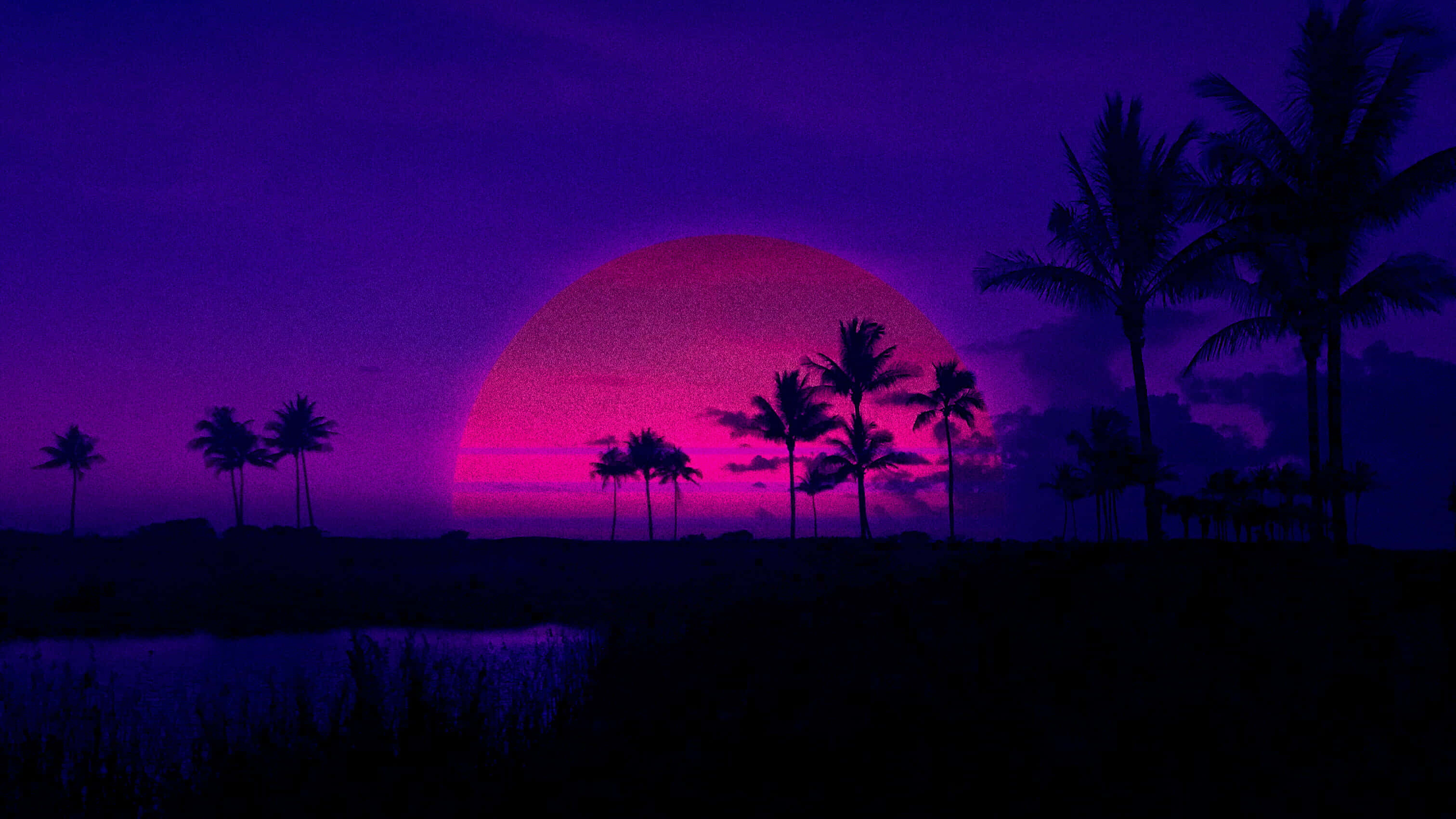迷失在深紫色海洋中，眼前唯有美景 壁纸