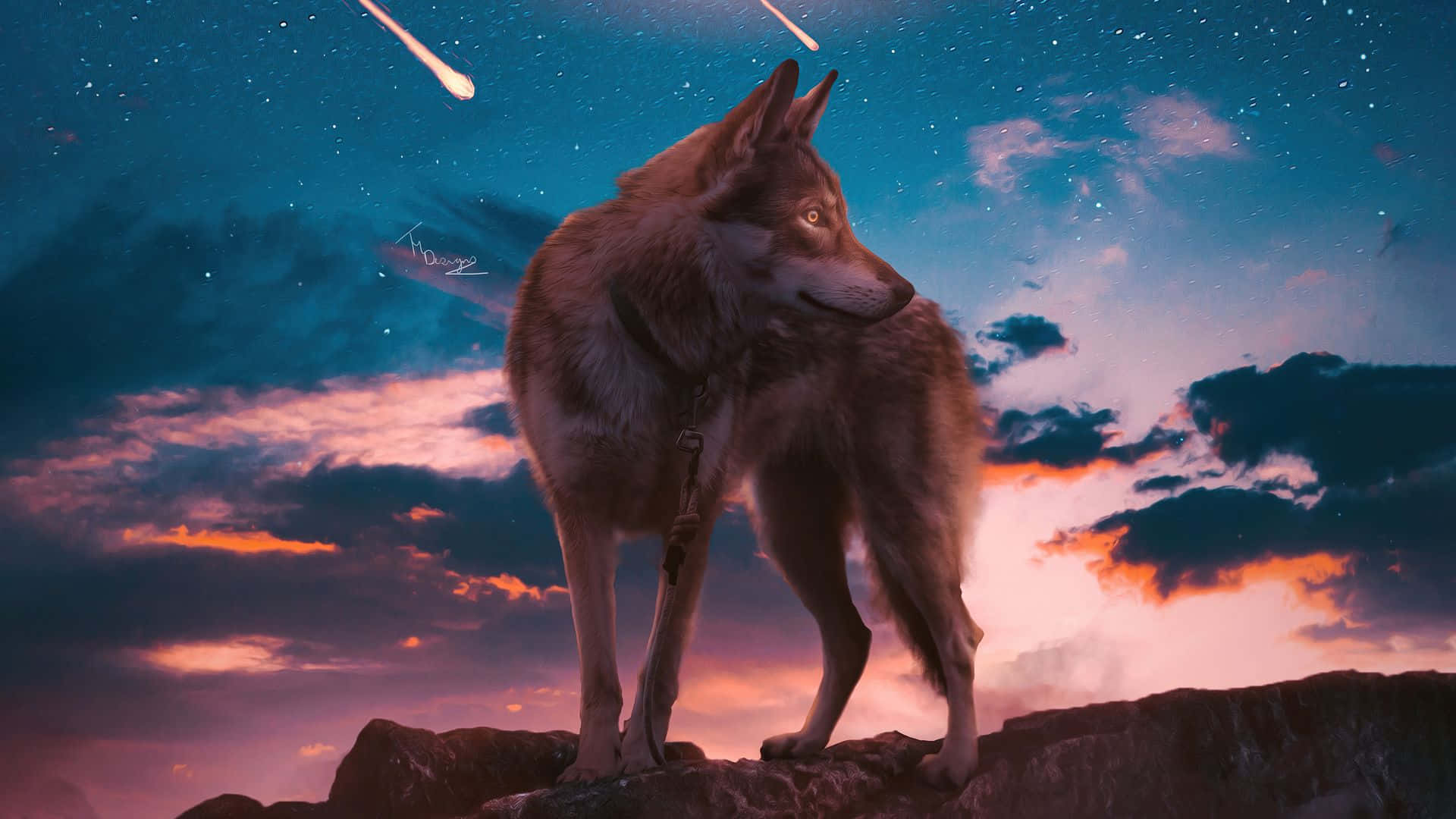 酷炫狼系美学流星夜空 壁纸