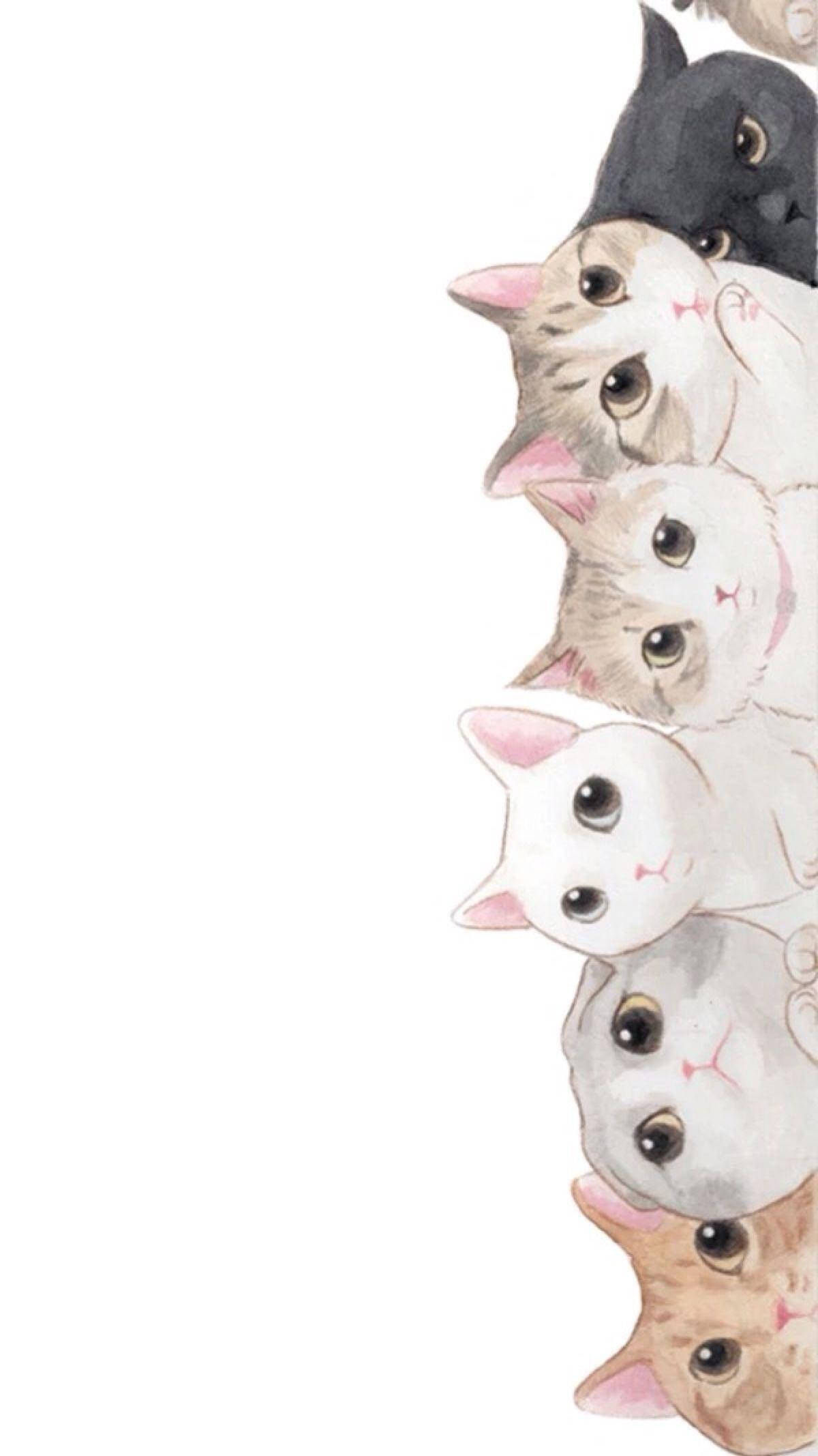 酷炫猫咪涂鸦 壁纸