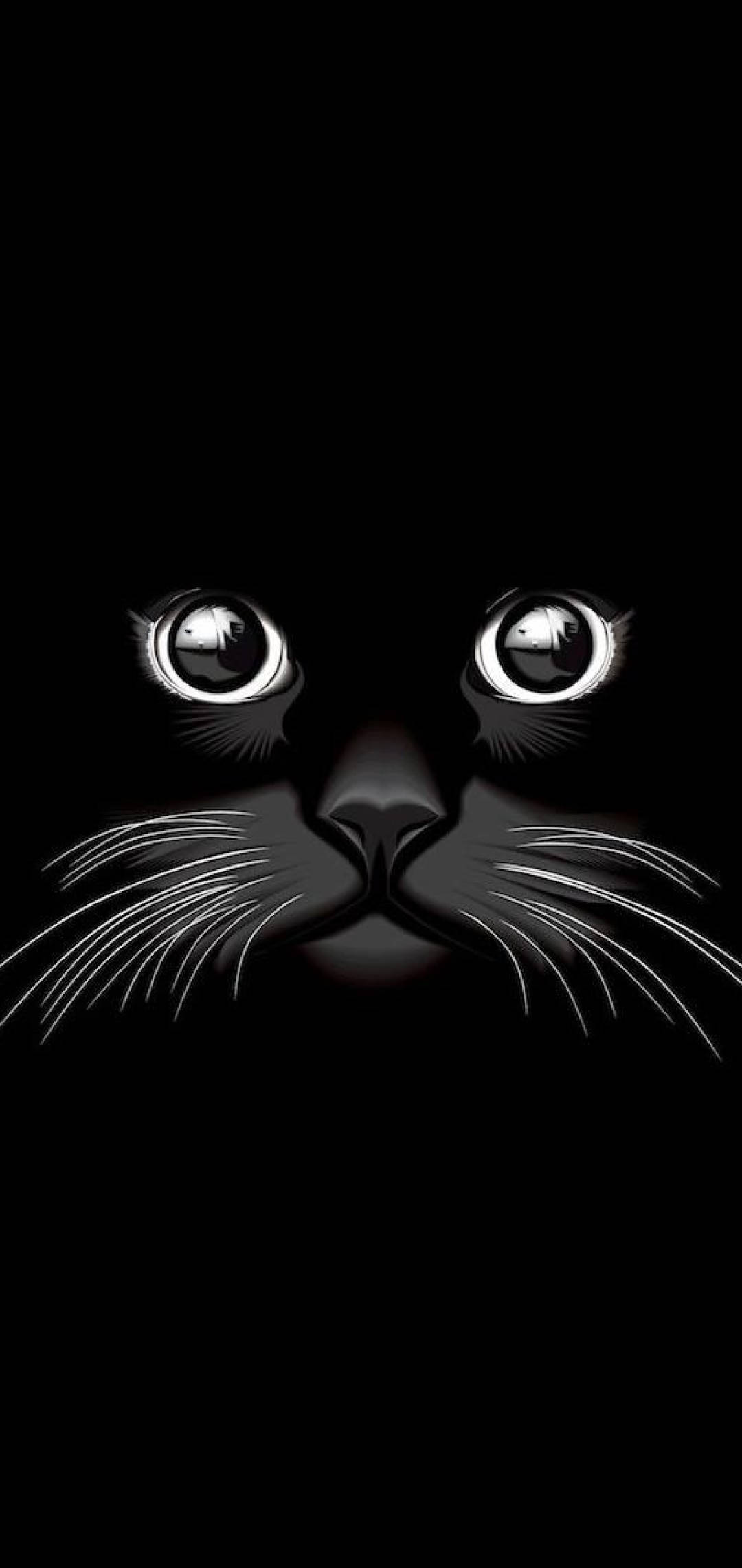 酷炫黑猫 壁纸