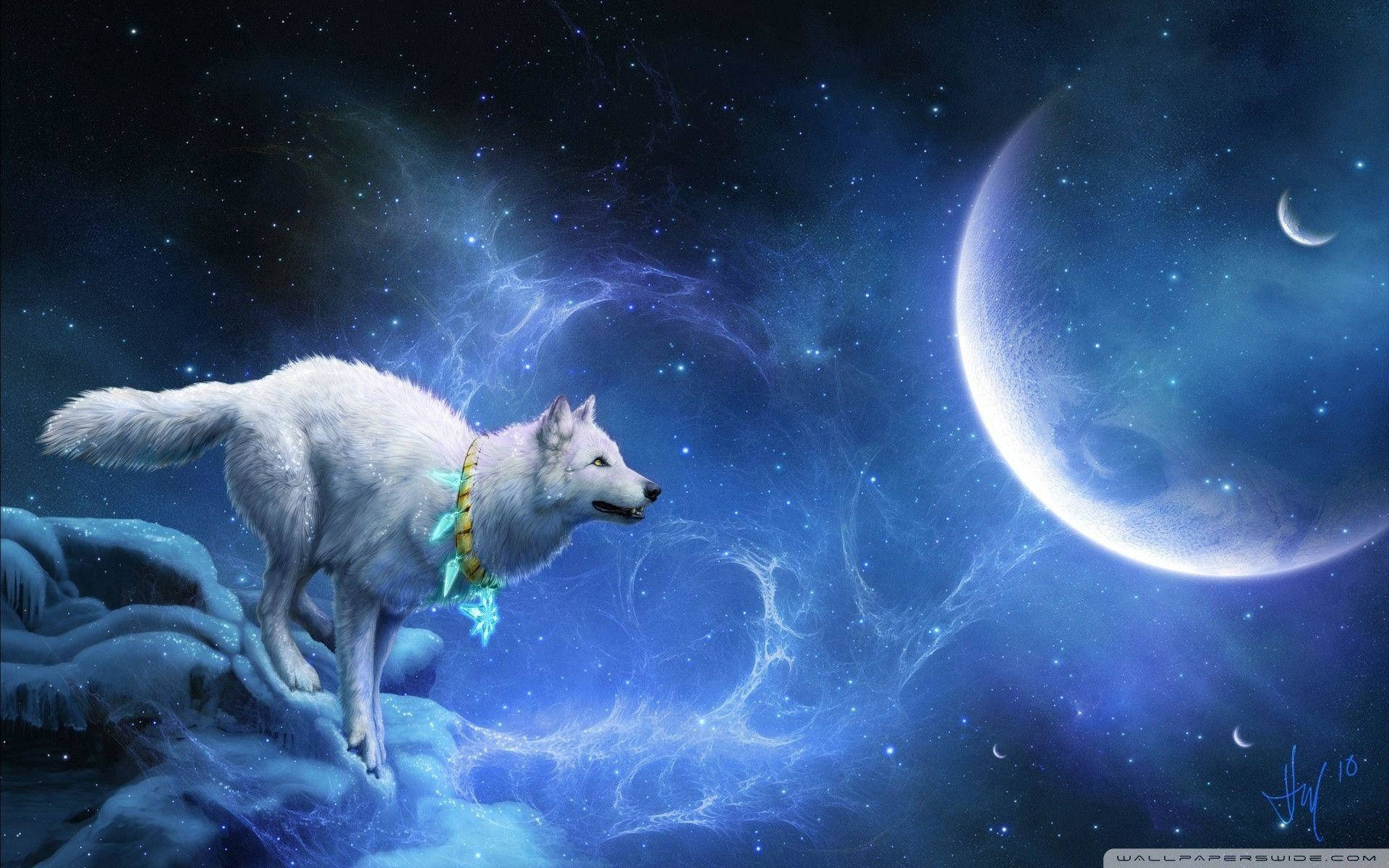 酷狼星球 壁纸