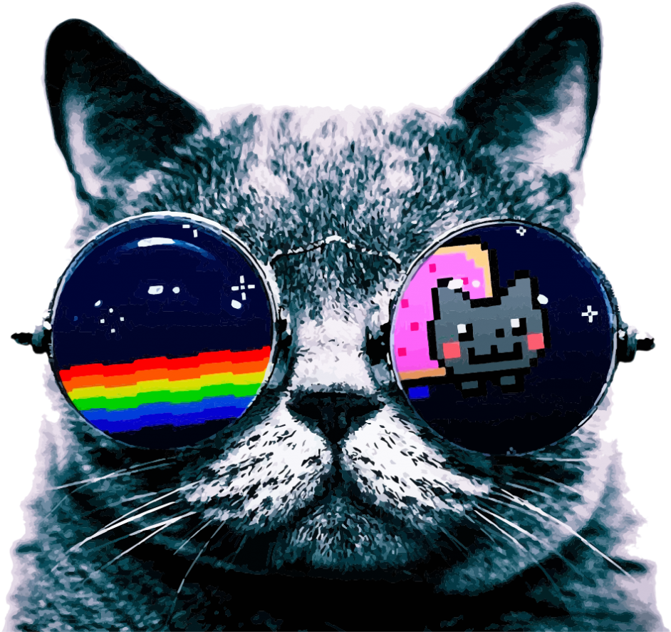 酷猫墨镜表情 壁纸