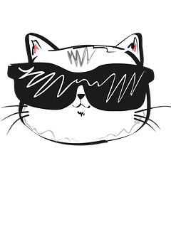 酷猫戴墨镜 壁纸