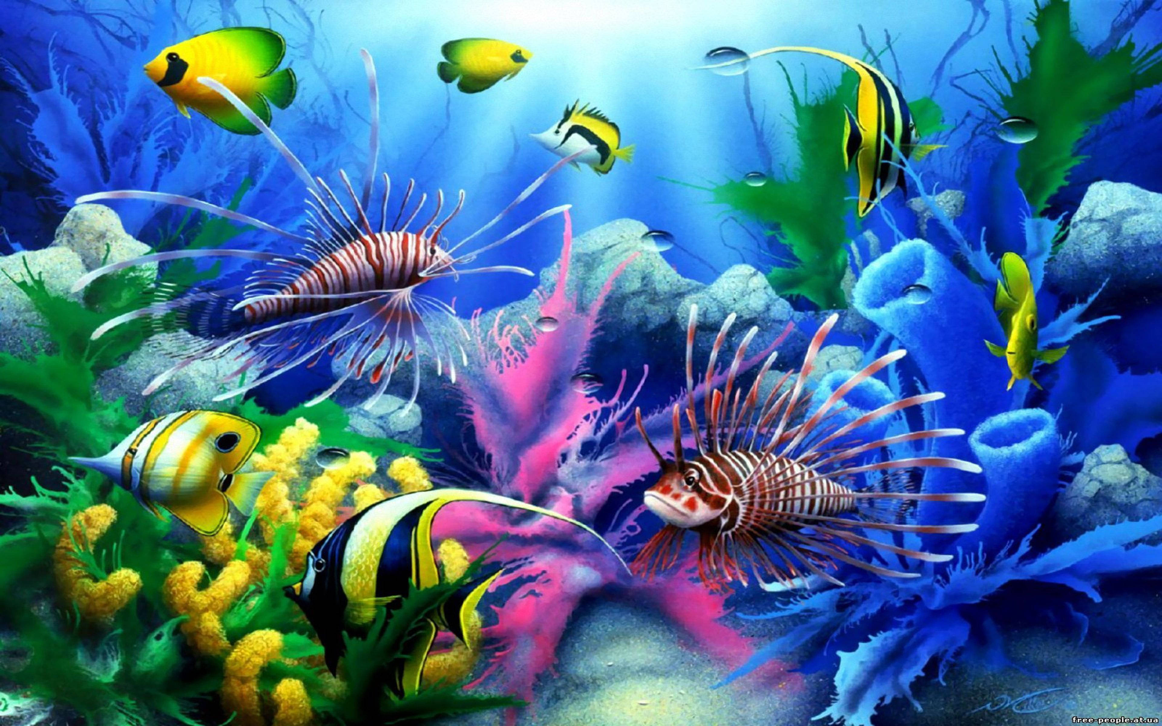 酷鱼水族馆 壁纸
