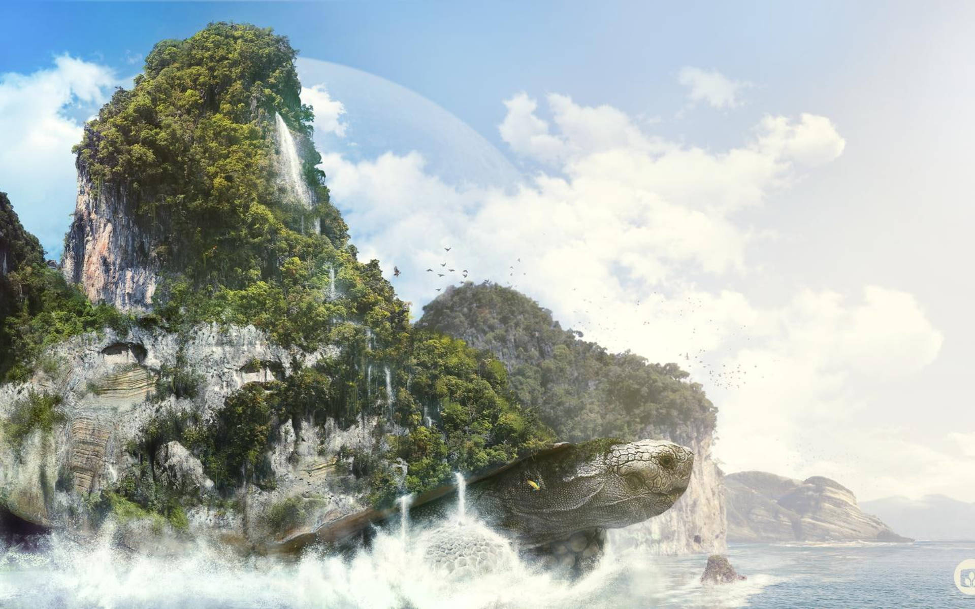 酷龟驮岛 壁纸