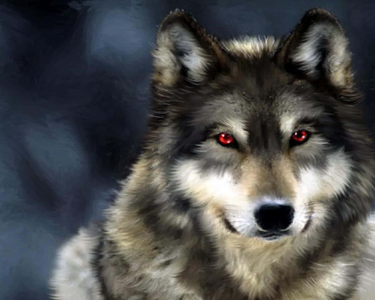 释放你内心的力量，与Cool Wolf同行 壁纸