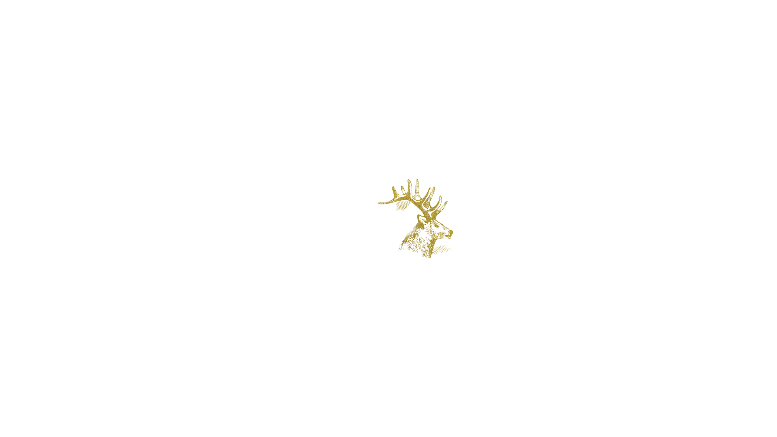 金色鹿头白色背景 壁纸