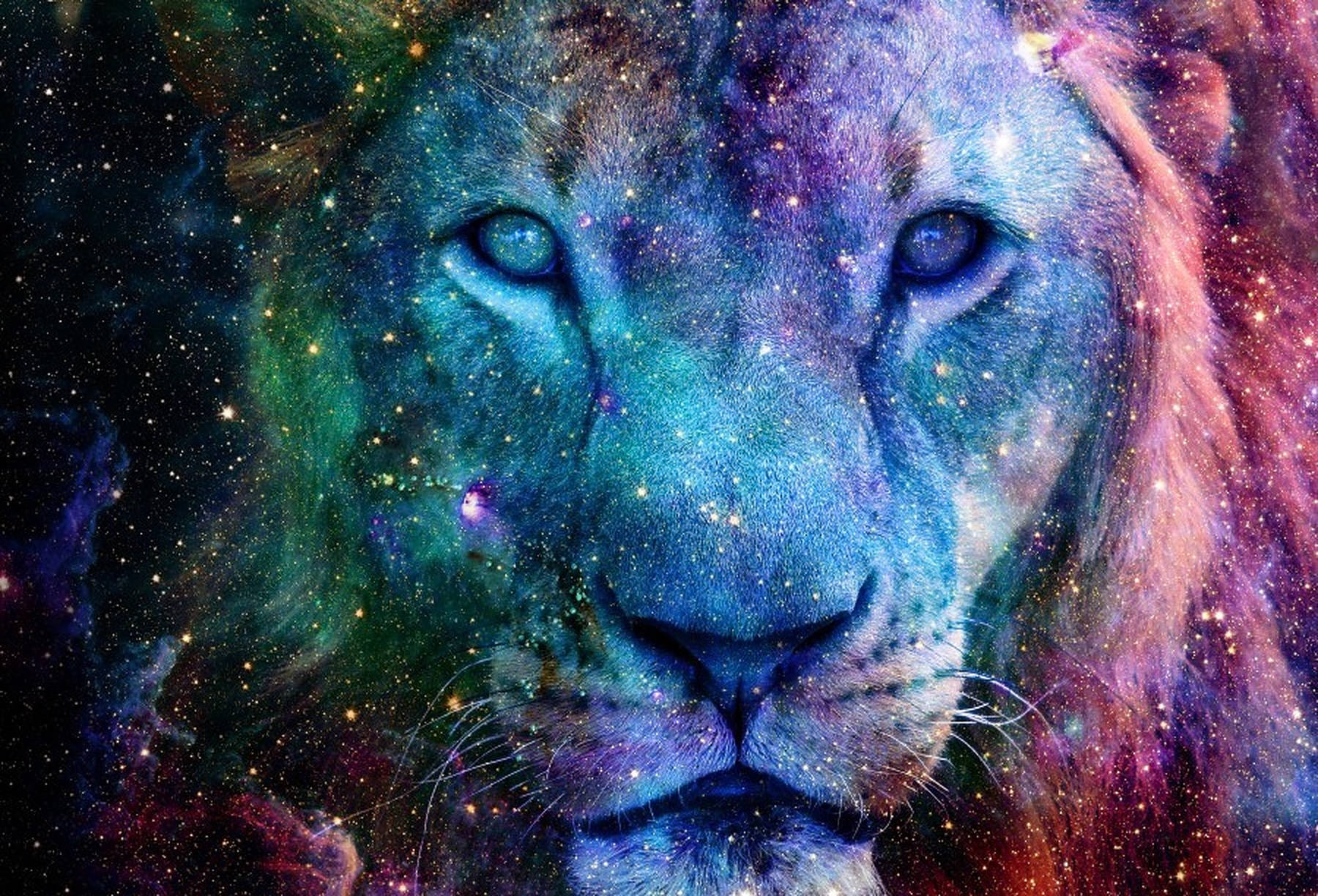 银河雄狮肖像 壁纸