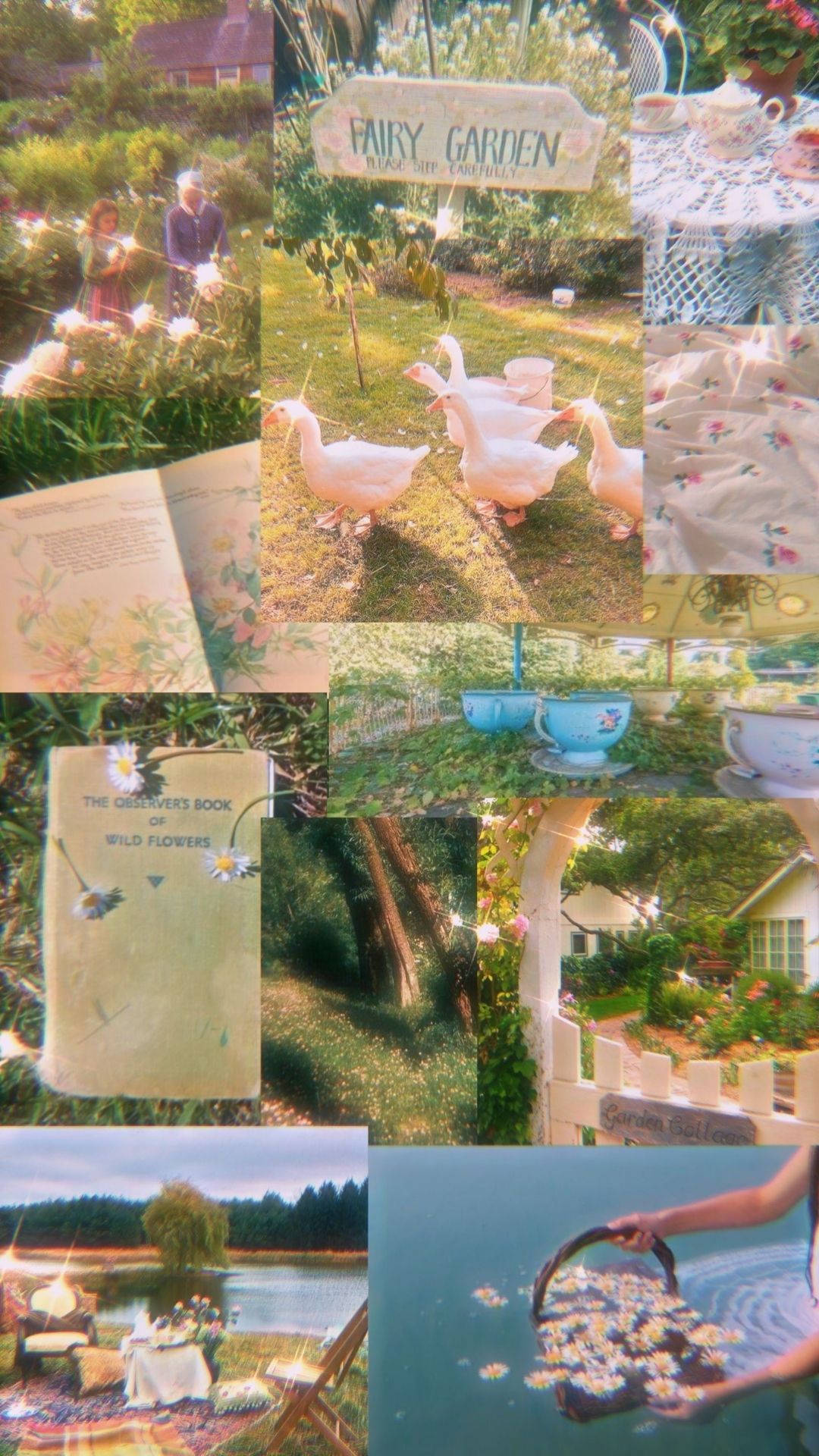 闪耀精灵美学 壁纸