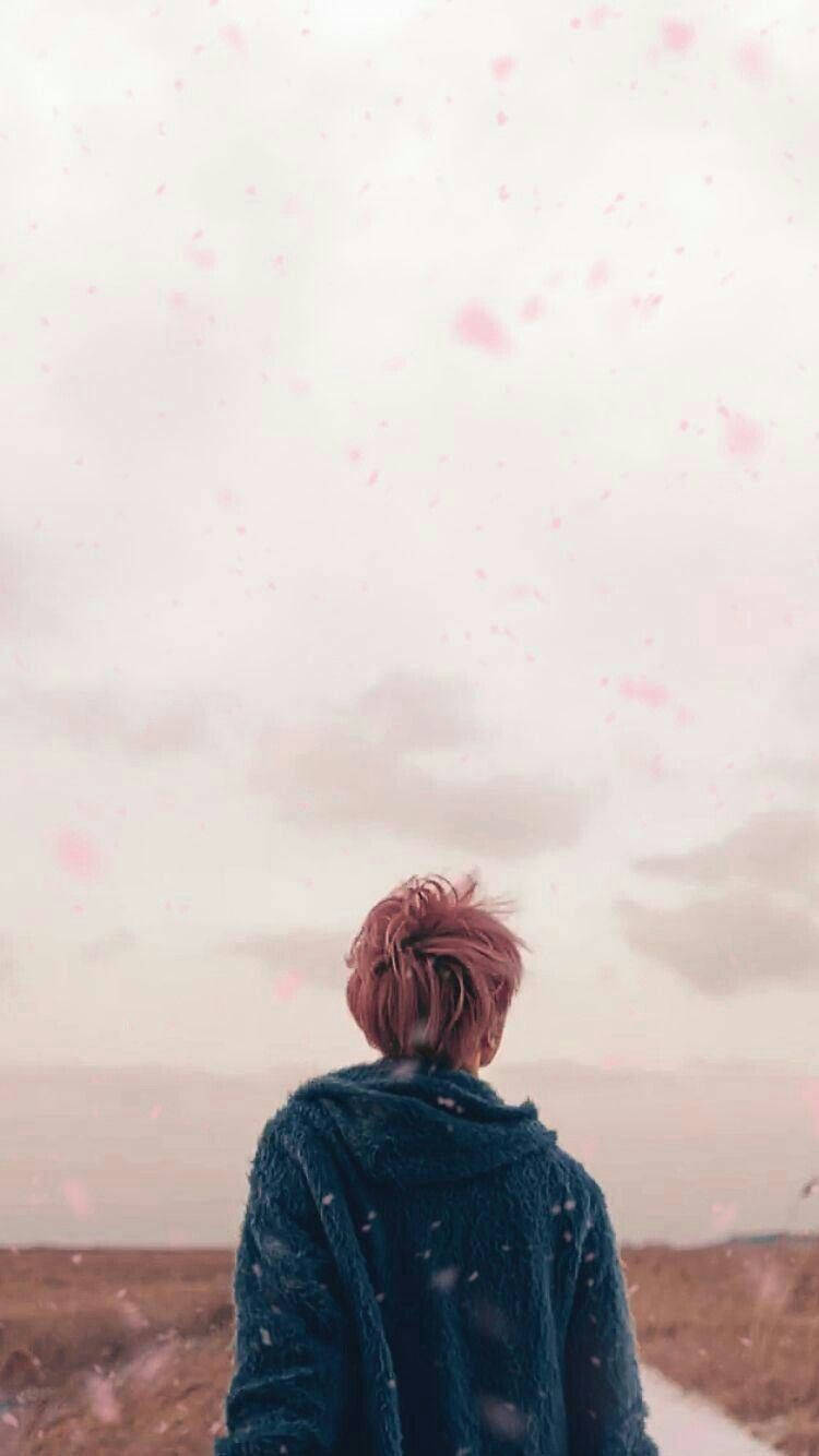 防弹少年团Jimin春日美学 壁纸