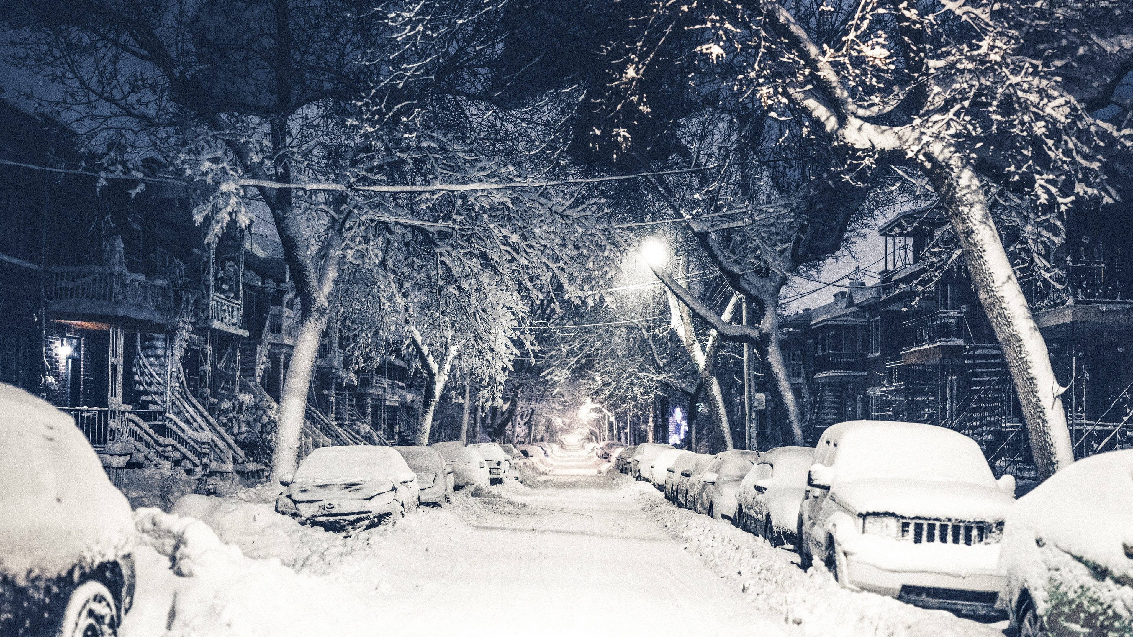 雪中自然 · 秋日公园纽约4K 壁纸